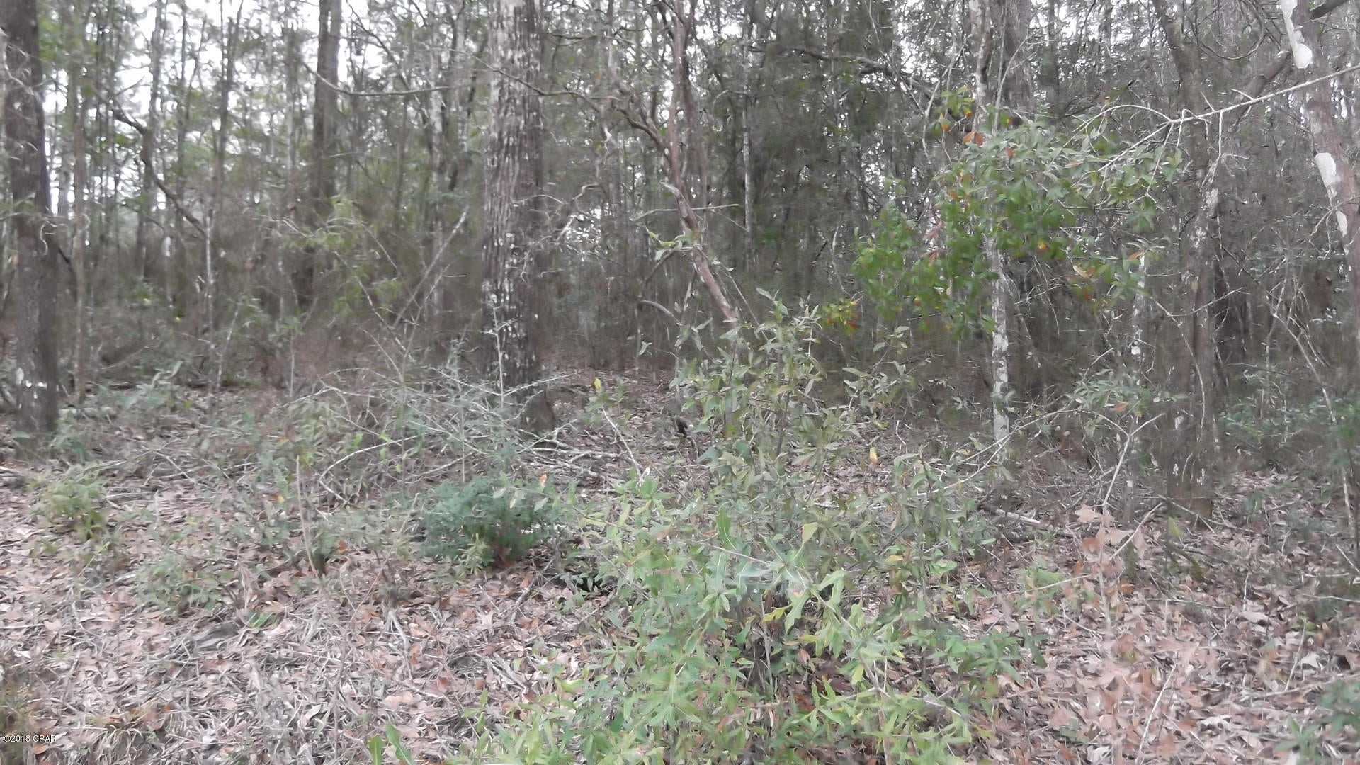 No Named Subdivision - Land