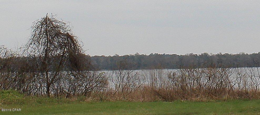 Pate Pond - Land