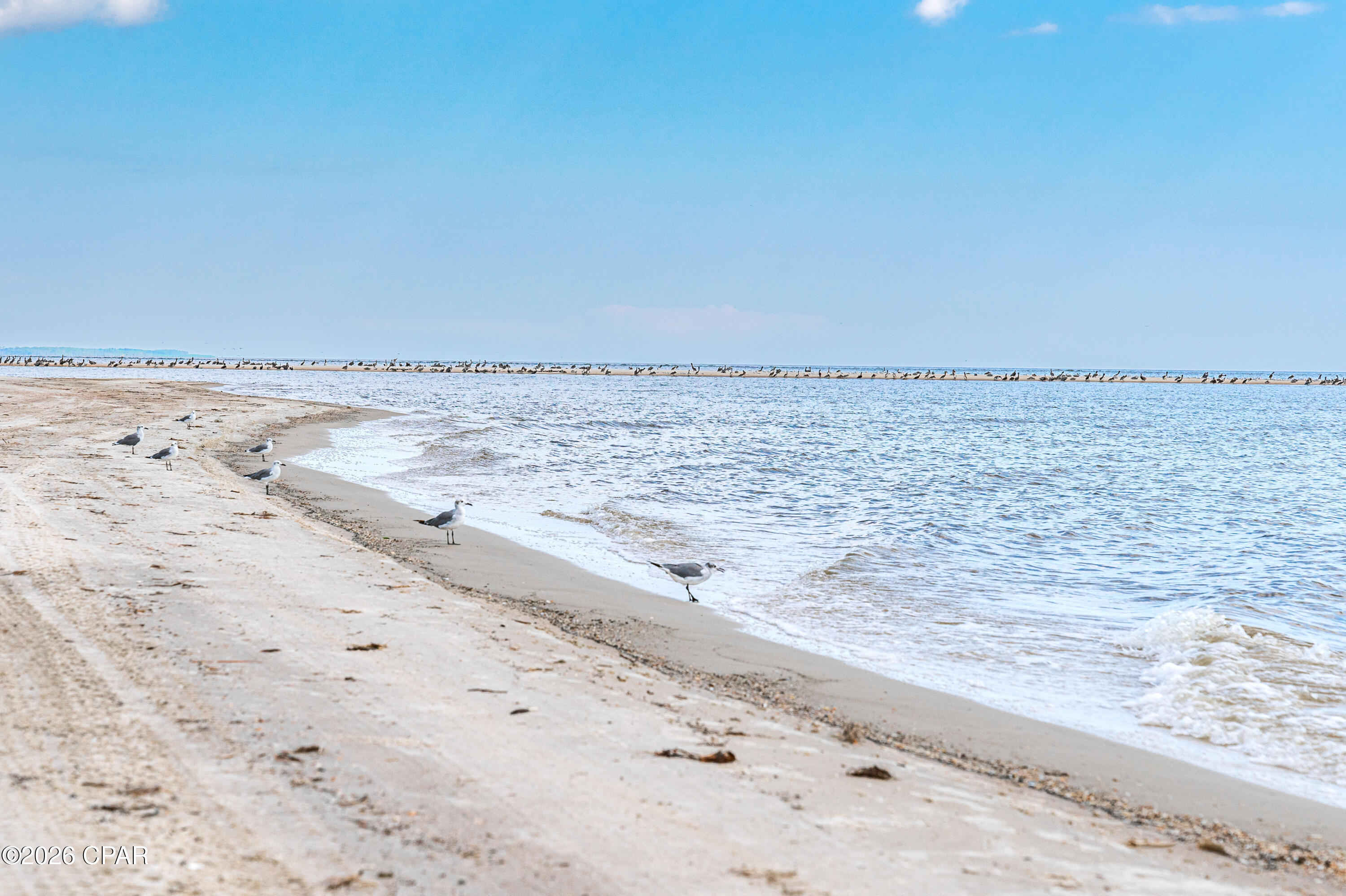 Indian Pass Beach - Land