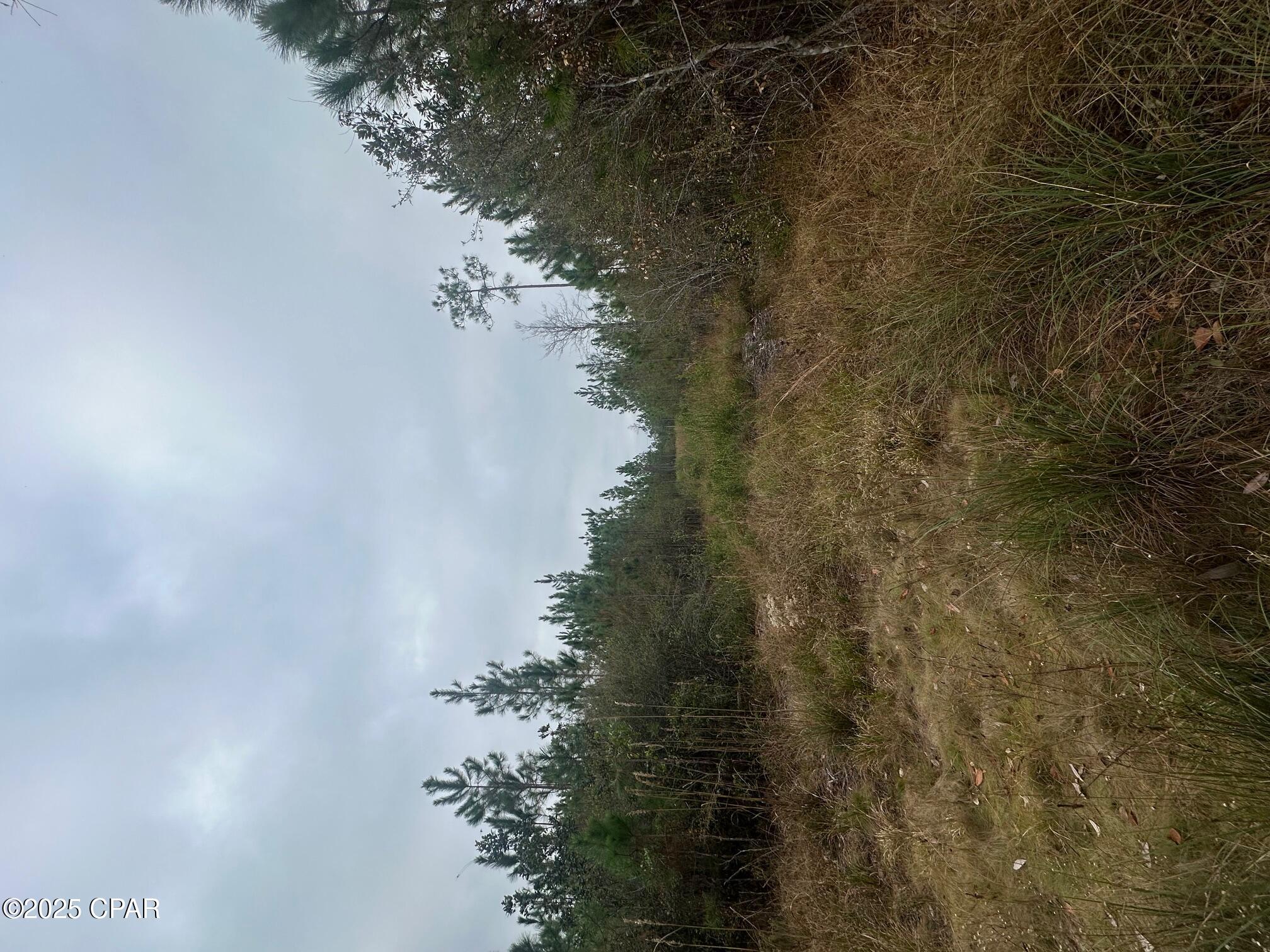 25.47 acres - located on SR 71 just North of Blountstown FL this property offers plenty of space for recreation or to build the structure you desire.   West of Tallahassee FL, North of Port St Joe and South of Marianna, each location within and hours drive.   The 25.47 acres is a combination of 2 parcels.    Parcel # 24-1N-09-0177-0000-4600 and Parcel # 24-1N-09-0177-0000-4700.  If you are looking to get away, or get settle into a new community around Blountstown FL, this property may be right for you!!