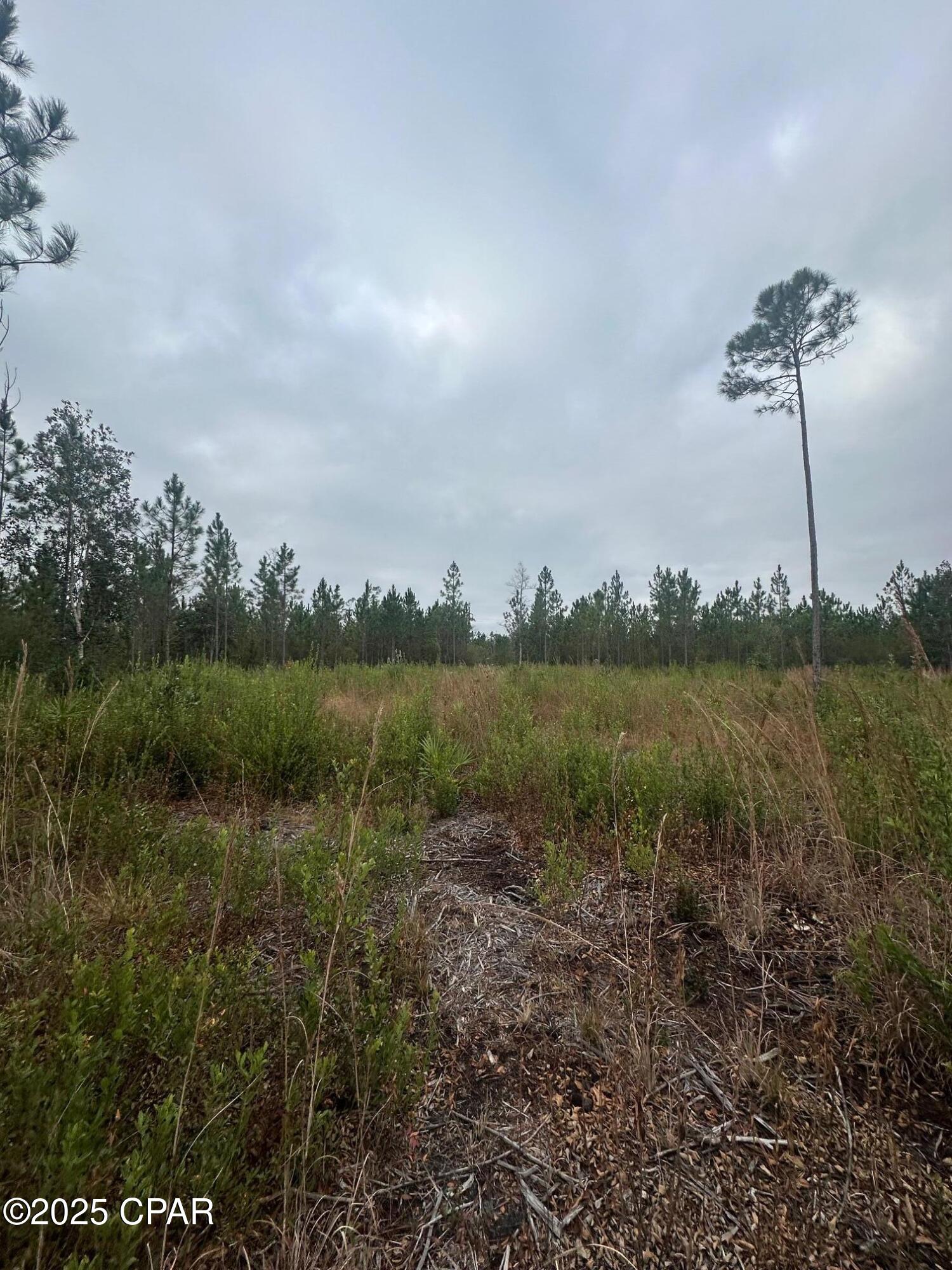 [No Recorded Subdiv] - Land