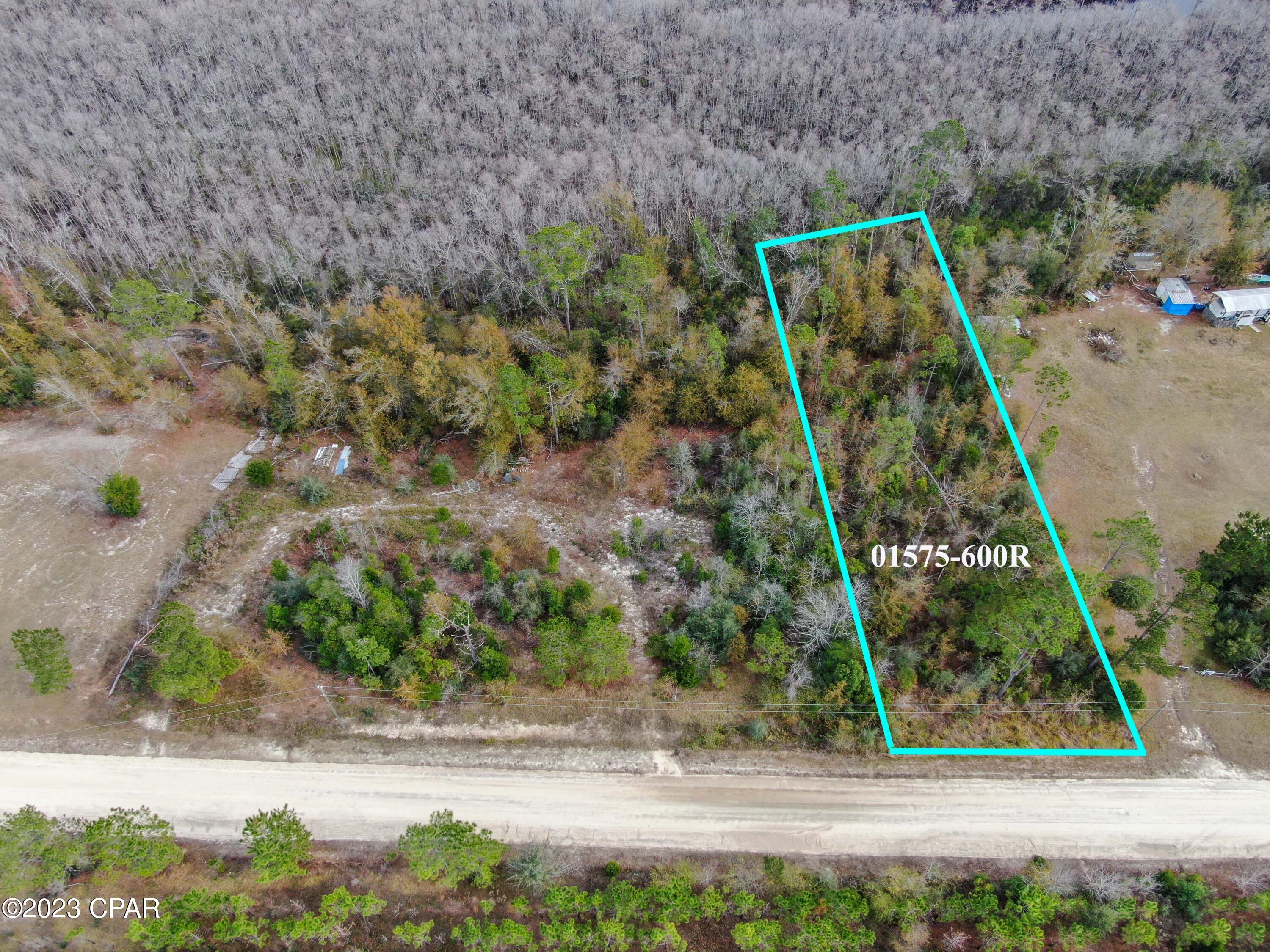 Owner financing available! Beautiful lake front lot on Dead Lakes! This lot is the perfect spot for your dream home or weekend getaway. Spend your days kayaking or catching bass in the lake. Approximately 0.7 acres! This property is only 25 minutes from Panama City, 35 minutes from Panama City Beach, and even closer to Mexico Beach & Port St Joe.