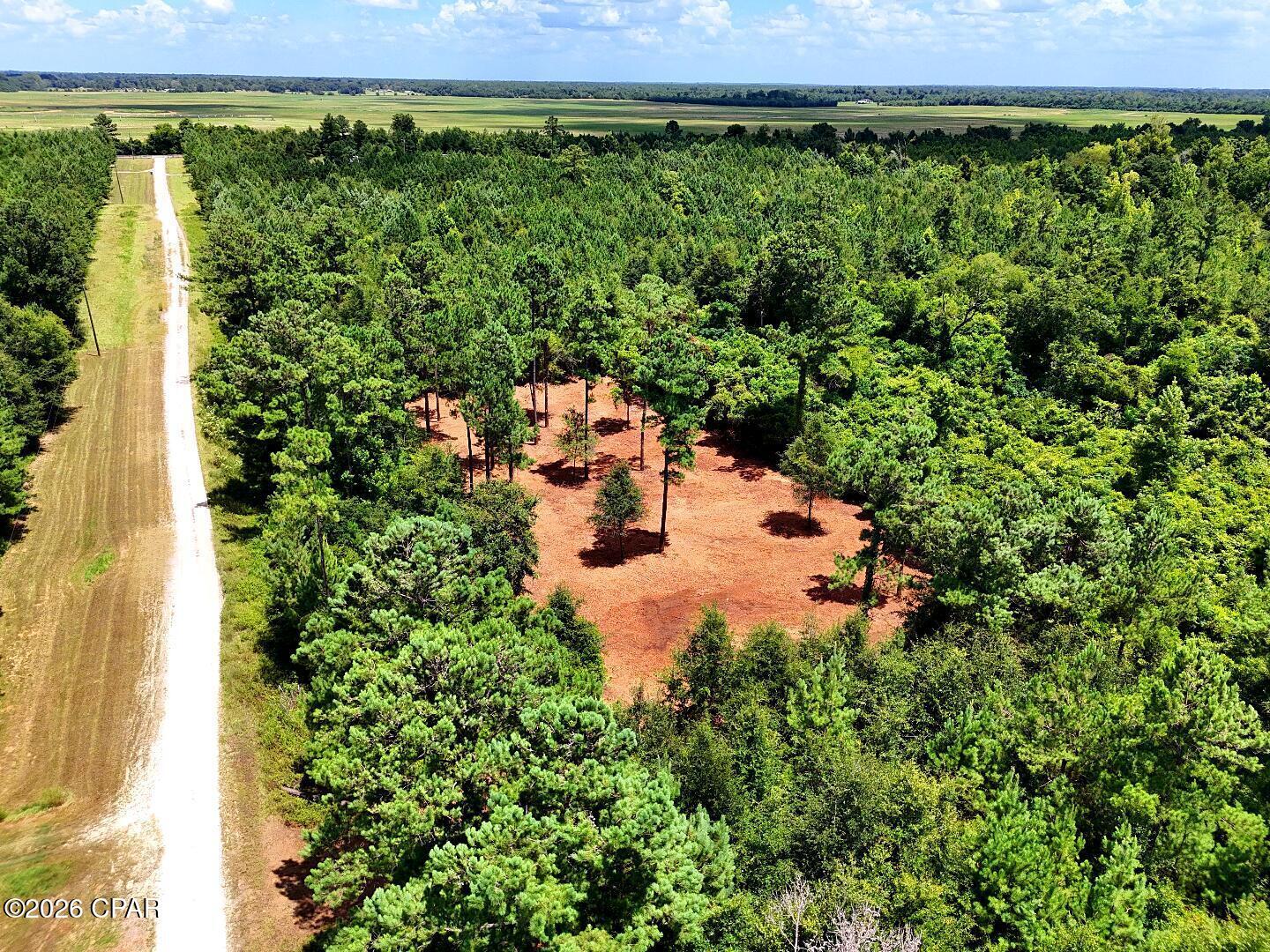 Build your dream home on this beautiful 10.62 acre property in the desirable Reserve at Blue Springs community. Featuring a newly cleared driveway and homesite, along with a recent soil evaluation approved for a conventional septic system, much of the work has already been done to help bring your vision to life.

Surrounded by mature trees and abundant wildlife, this property brings the perfect blend of privacy, open space, and convenience. Enjoy peaceful country living while remaining just minutes from downtown Marianna, Blue Springs Recreation Area, the Chipola River, and I-10.

Site-built homes only. Mobile homes, manufactured homes, and permanent RV living are not permitted. Horses and other animals are permitted, subject to recorded covenants.