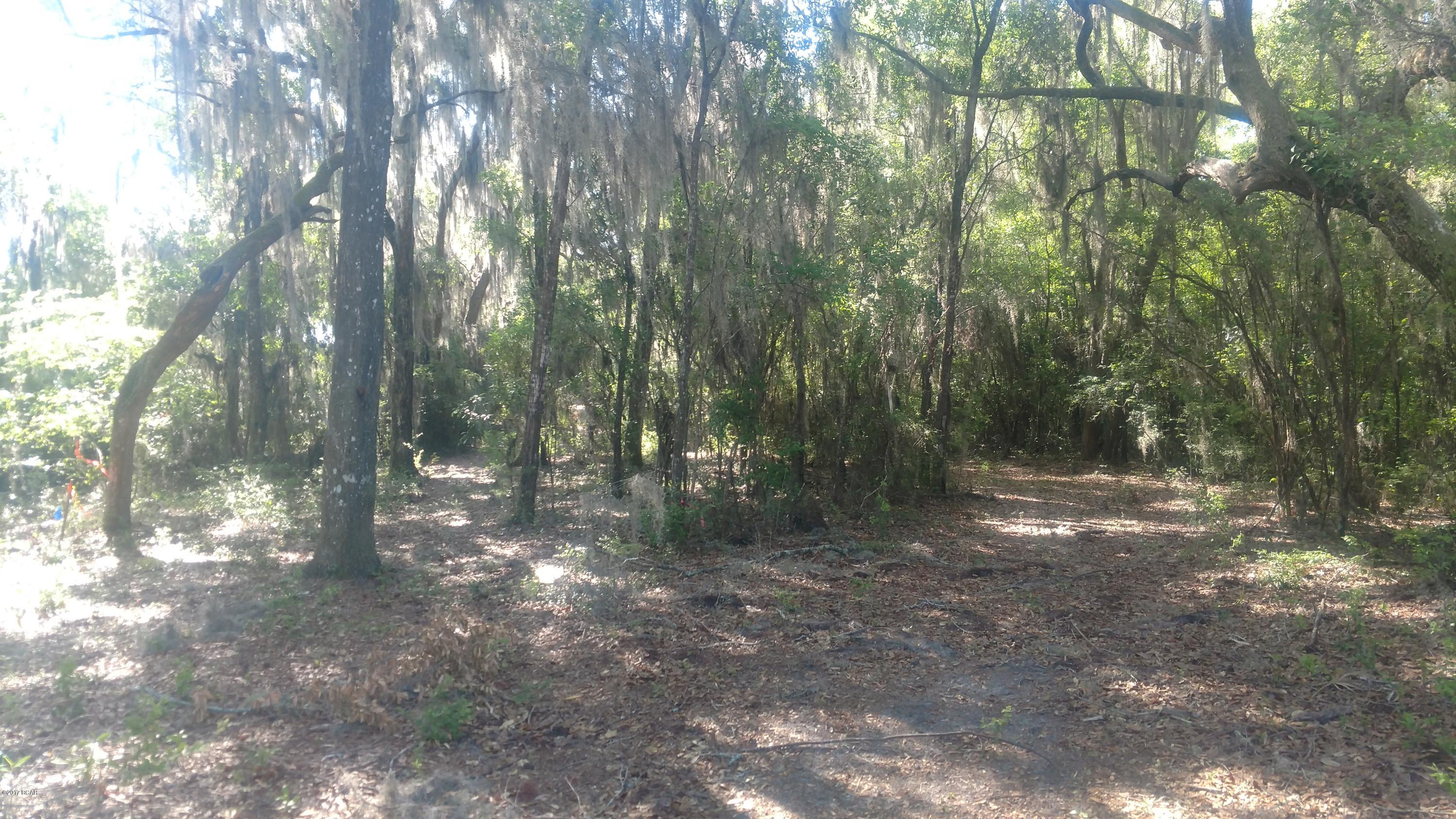 Cedar Creek Ph II - Land