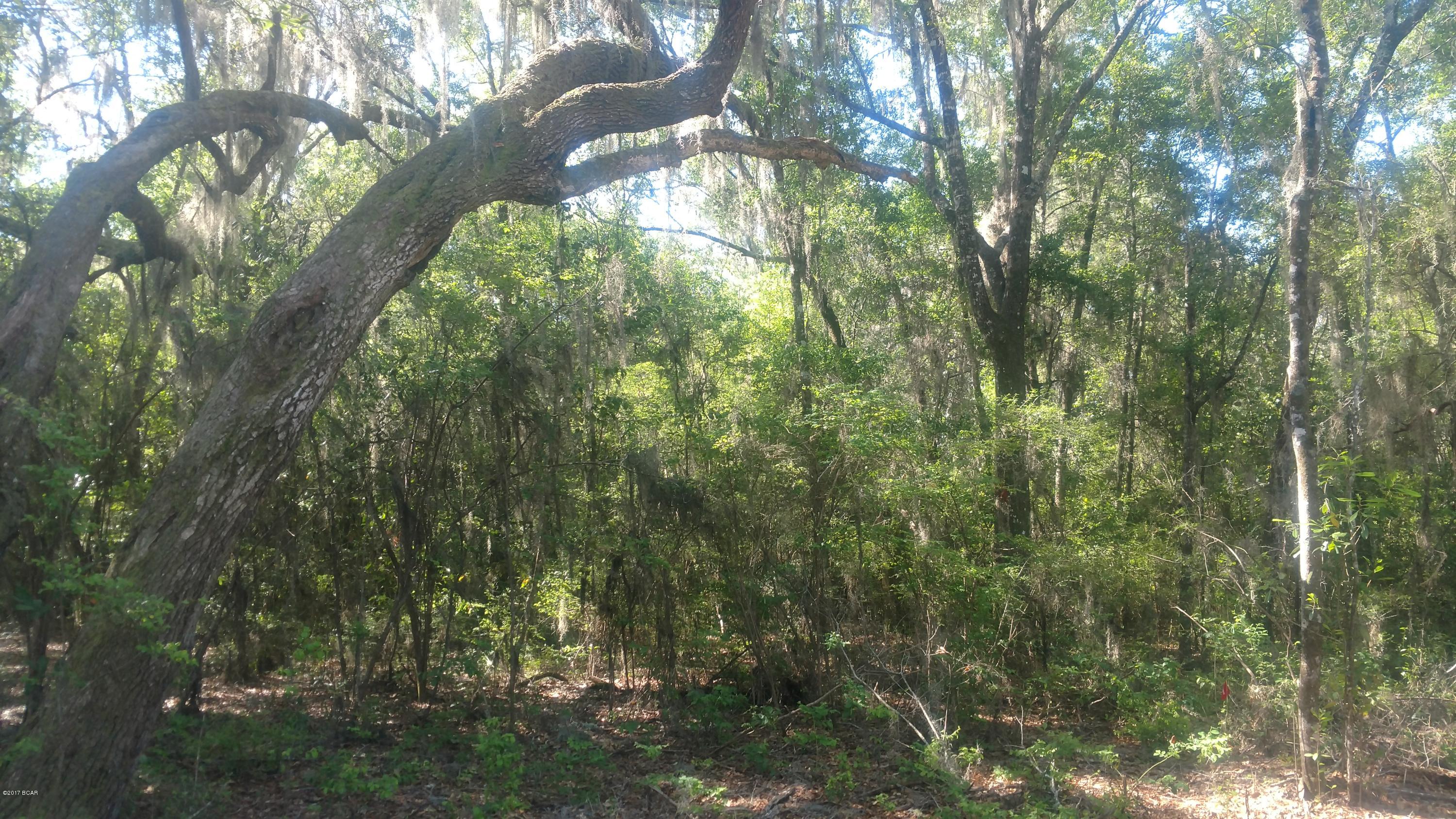 Cedar Creek Ph II - Land