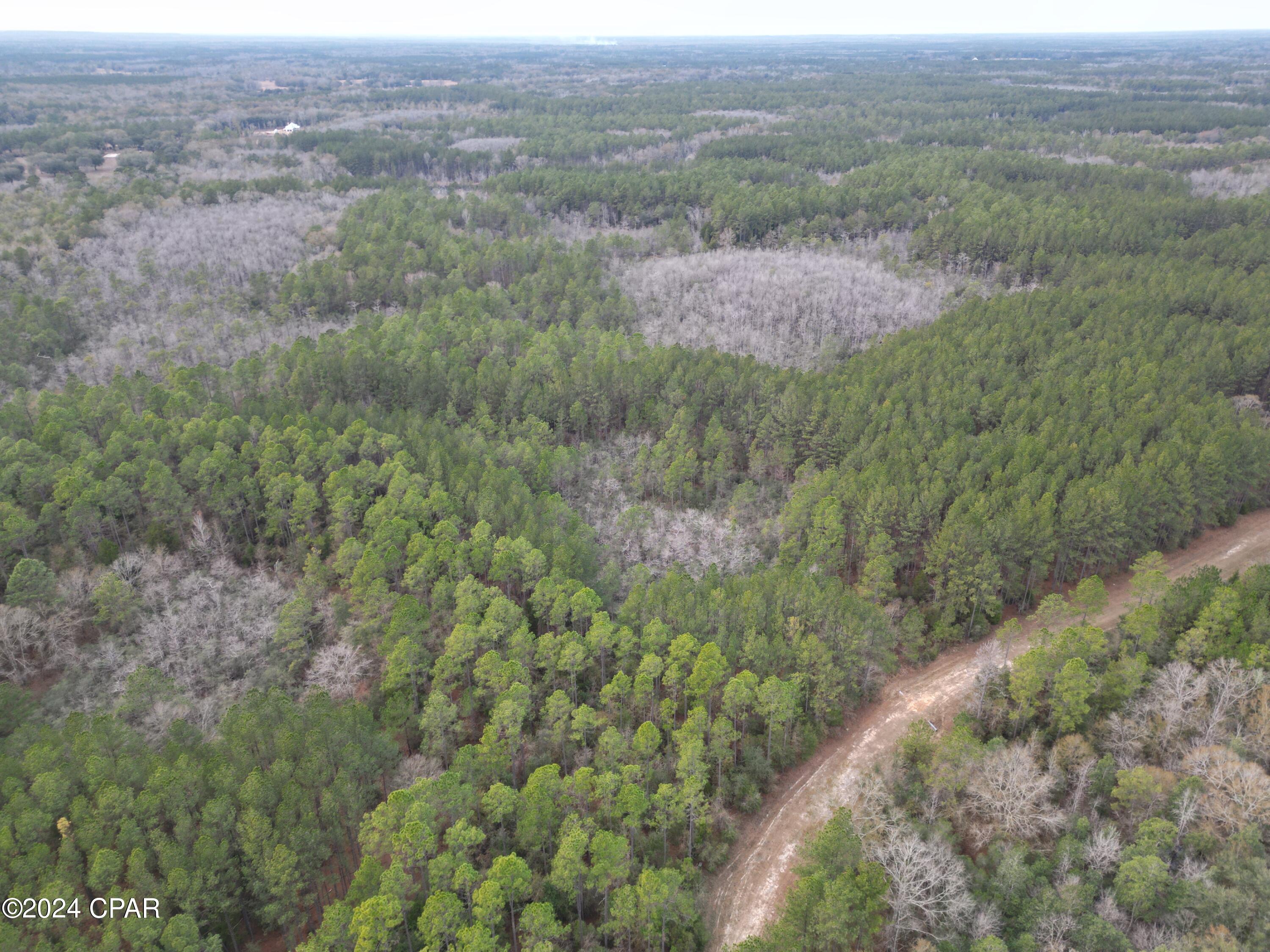 Canopy Crossing - Land