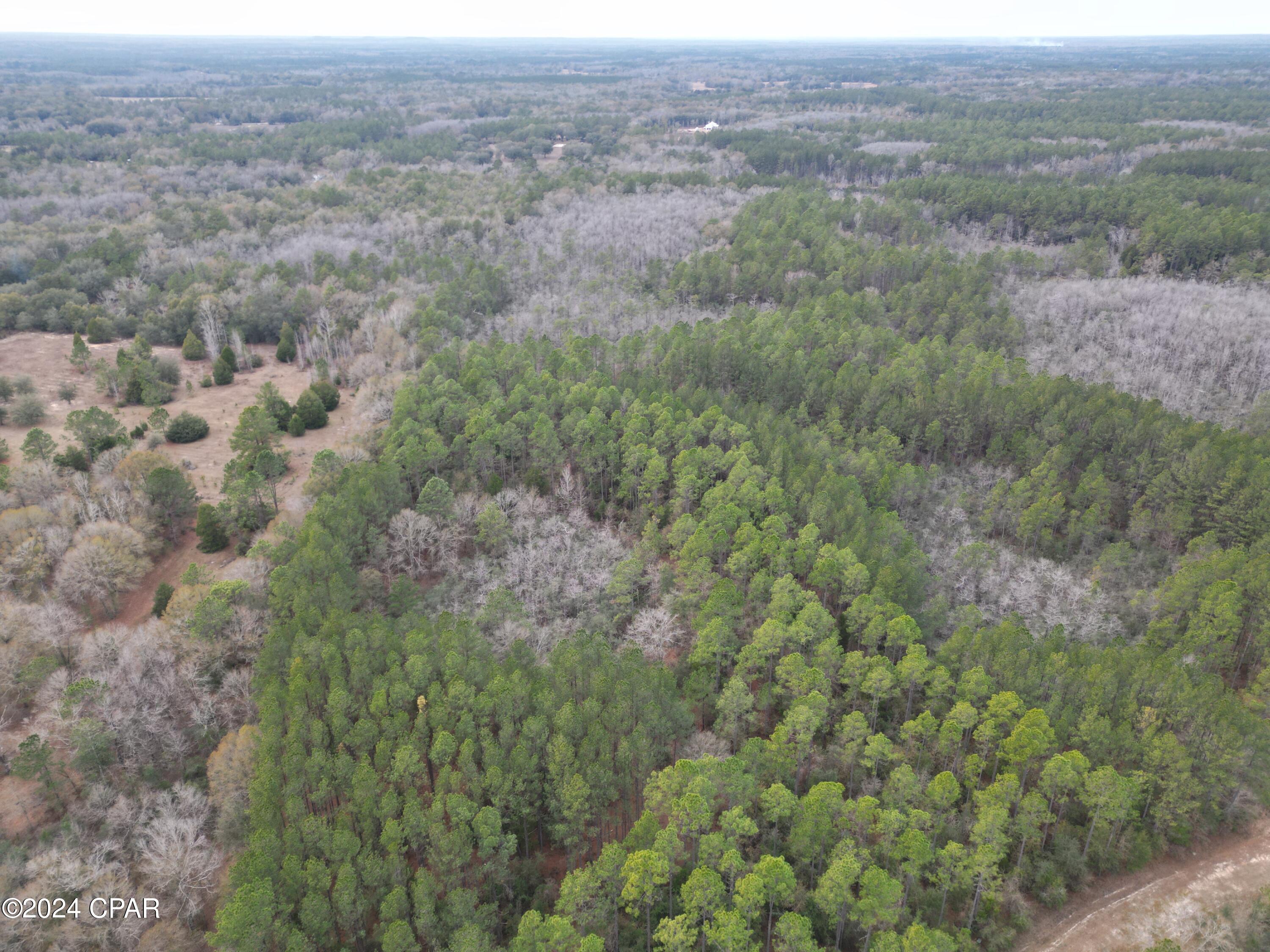 Canopy Crossing - Land