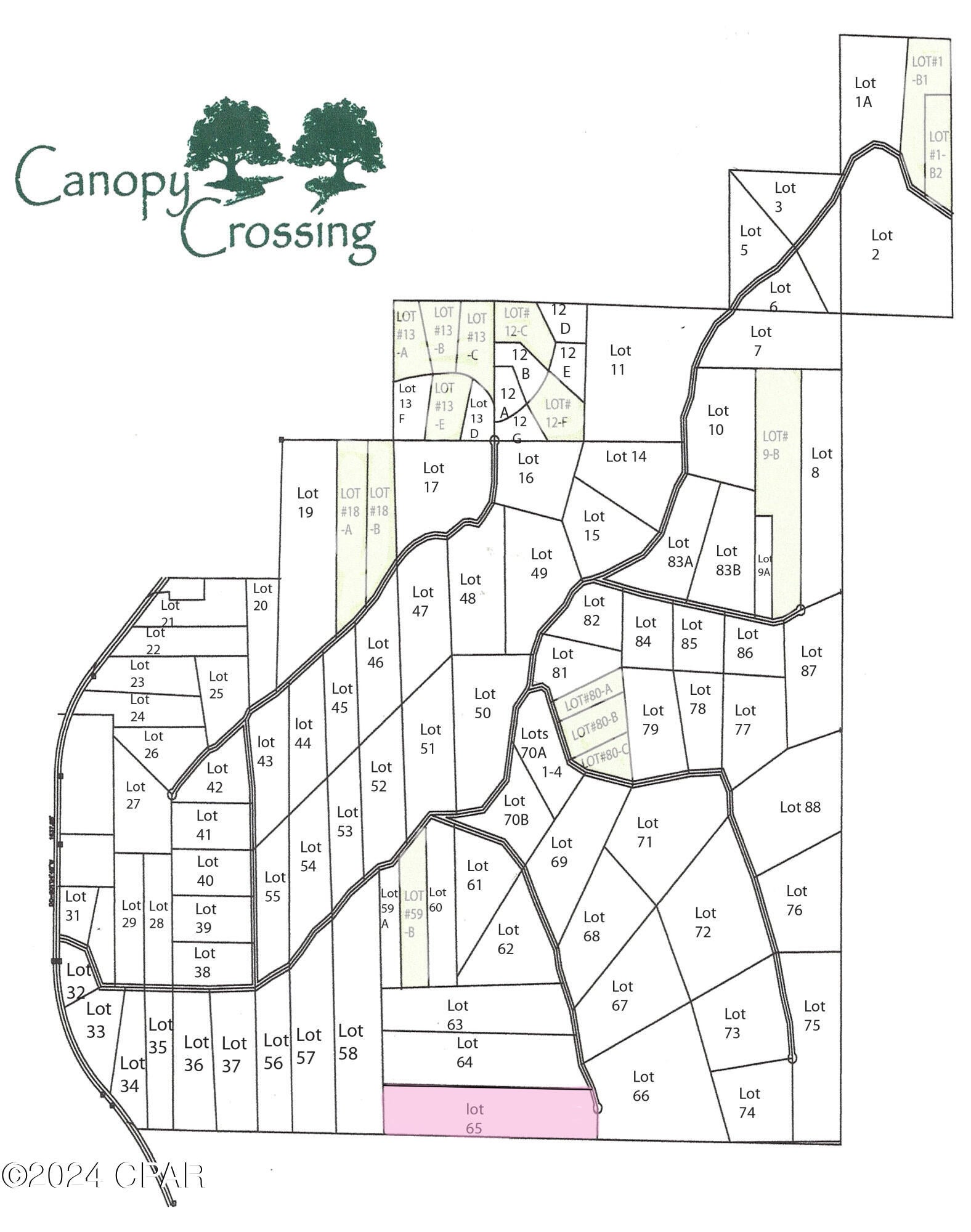 Canopy Crossing - Land