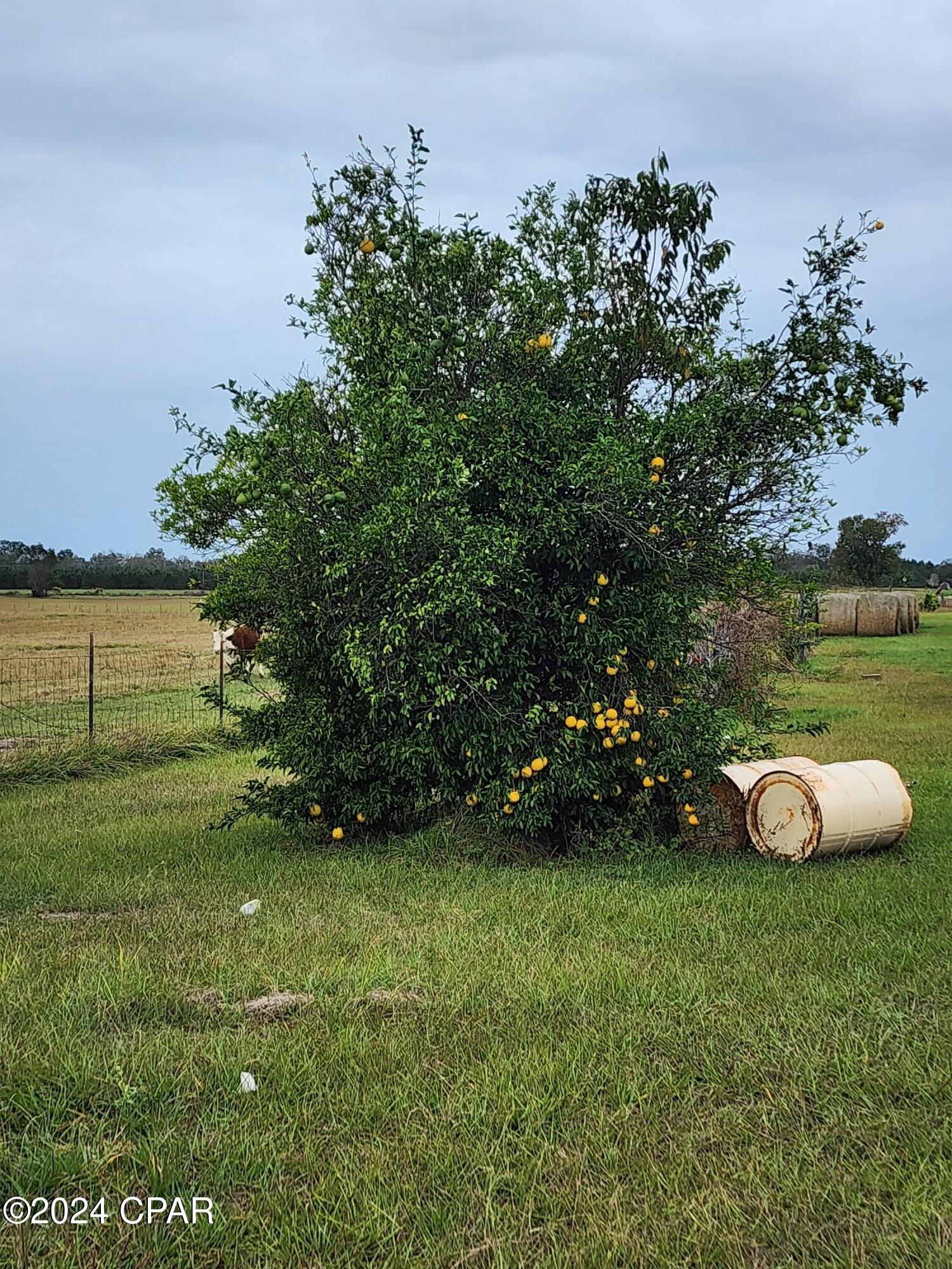 [No Recorded Subdiv] - Land