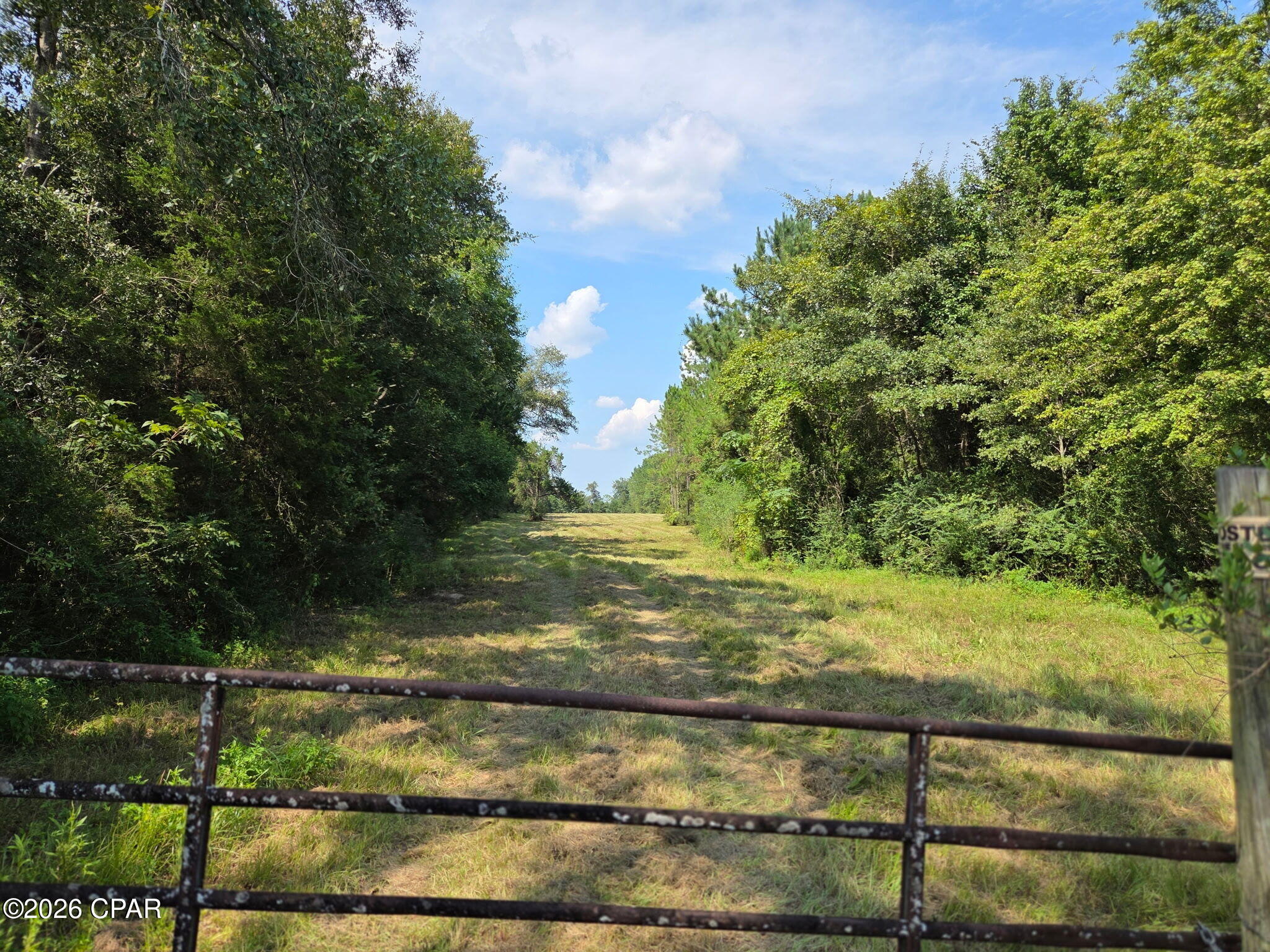 Listing is for 20 ac parcel 00000000-00-4000-0001 and 10 acre parcel 00000000-00-4000-0003. Tracts may be purchased individually. These two tracts deliver the best of North Florida living: space, privacy, and natural beauty. The open pasture offers immediate usability for livestock or a homesite with room for a barn, workshop, or guest cabin. The wooded sections provide cover and food sources that attract game, making it a true sportsman's parcel. And at the heart of it all lies the cypress pond, a tranquil, almost mystical water feature that elevates this property from ordinary to unforgettable. Situated on Poplar Head Road in Washington County, this property enjoys a peaceful, rural atmosphere while remaining accessible to Bonifay, Chipley and Panama City shops, schools, and services. The area is known for its strong hunting culture, scenic landscapes, and affordable land values making it a smart buy for both lifestyle and investment.