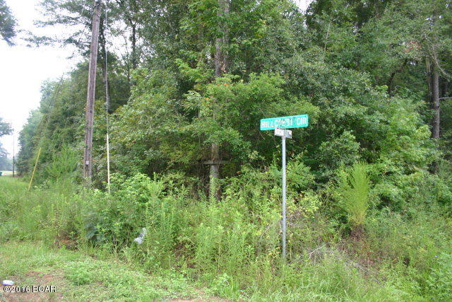 Corner parcel just outside of Vernon on paved road. Perfect for your new site built home or manufactured home. Location is convenient to Vernon and HWY 79. Holmes Creek is just a short drive from the lot for your fishing pleasure.