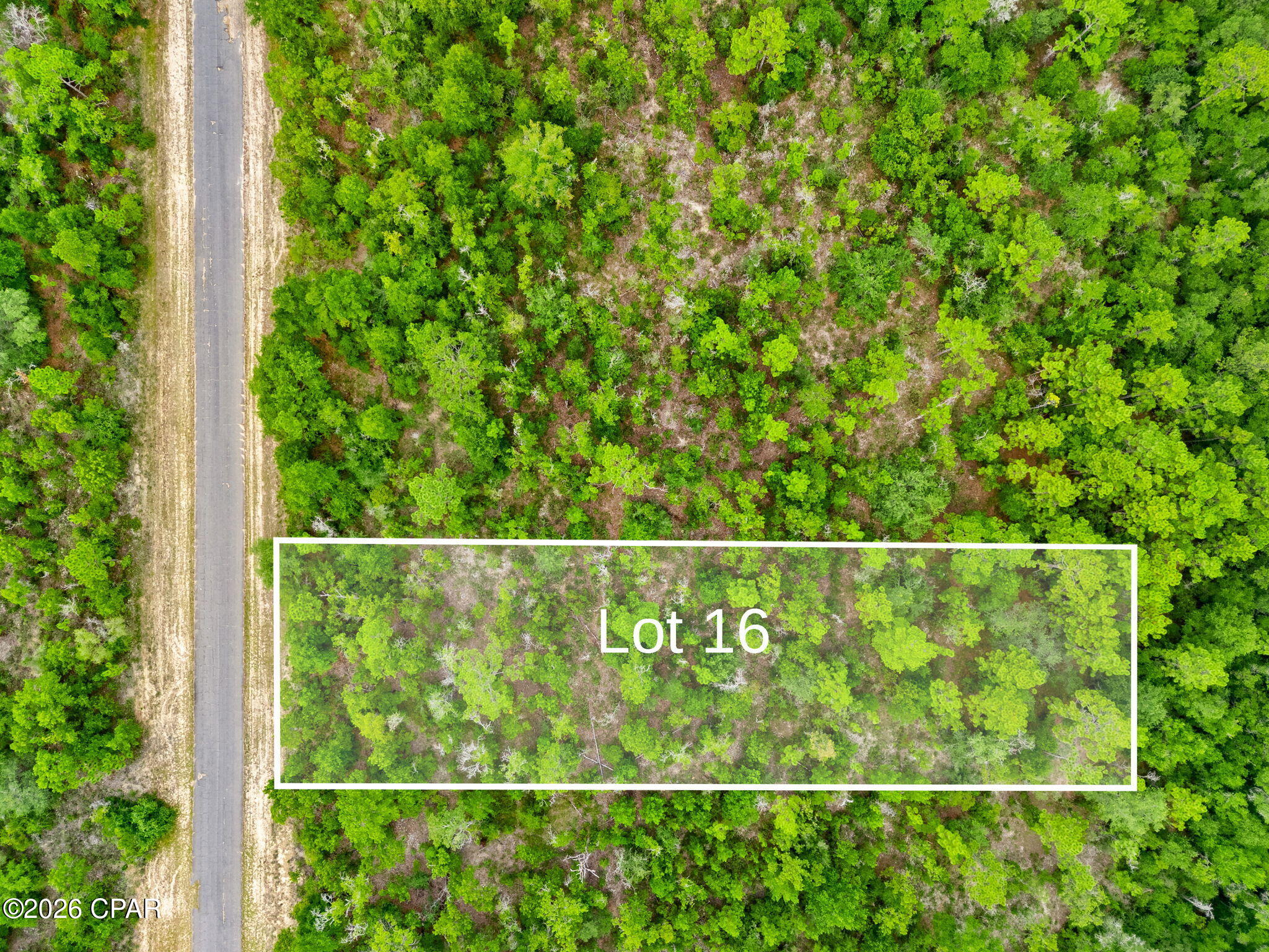 Discover the opportunity to build your Florida dream home on Lot 16 Firwood Avenue, a spacious 0.688-acre homesite located in the Sunny Hills community of Chipley with no HOA fee. Surrounded by the natural beauty of Northwest Florida, this residential lot offers a peaceful setting with convenient access to outdoor recreation, everyday necessities, and some of the area's most popular attractions.

Need more space? The adjoining Lot 17, also consisting of 0.688 acres, is available for purchase. Purchase both side-by-side lots for a combined approximately 1.376 acres, offering additional space and privacy with plenty of room to create the homesite you've been looking for.

Sunny Hills is known for its relaxed outdoor lifestyle with numerous freshwater lakes and ponds, boat landings, parks, fishing, and recreational opportunities throughout the community. Golf enthusiasts will appreciate the 18-hole Sunny Hills Golf Club, while nearby Boat Lake offers additional opportunities to enjoy the outdoors.

Enjoy quiet Northwest Florida living while still being within convenient driving distance of Chipley, Panama City, and the beautiful white-sand beaches of Panama City Beach. Falling Waters State Park is also nearby, offering hiking, camping, and the opportunity to experience one of Florida's unique natural attractions.

Whether you're looking for a homesite to build now, planning for the future, or searching for an investment opportunity, Lot 16 Firwood Avenue offers plenty of possibilities. Purchase Lot 16 individually or combine it with adjoining Lot 17 for approximately 1.376 acres.

Buyer to verify all measurements, building requirements, restrictions, utilities, and any information deemed important.