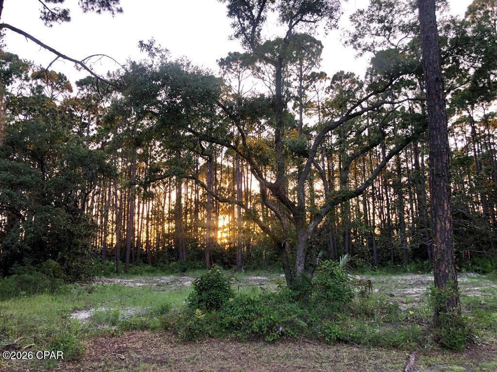 Port St. Joe - Land