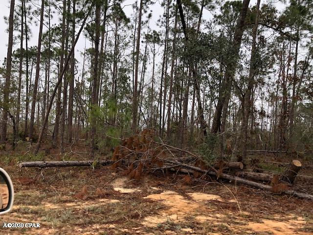 Compass Lake Hills Unit 5 - Land