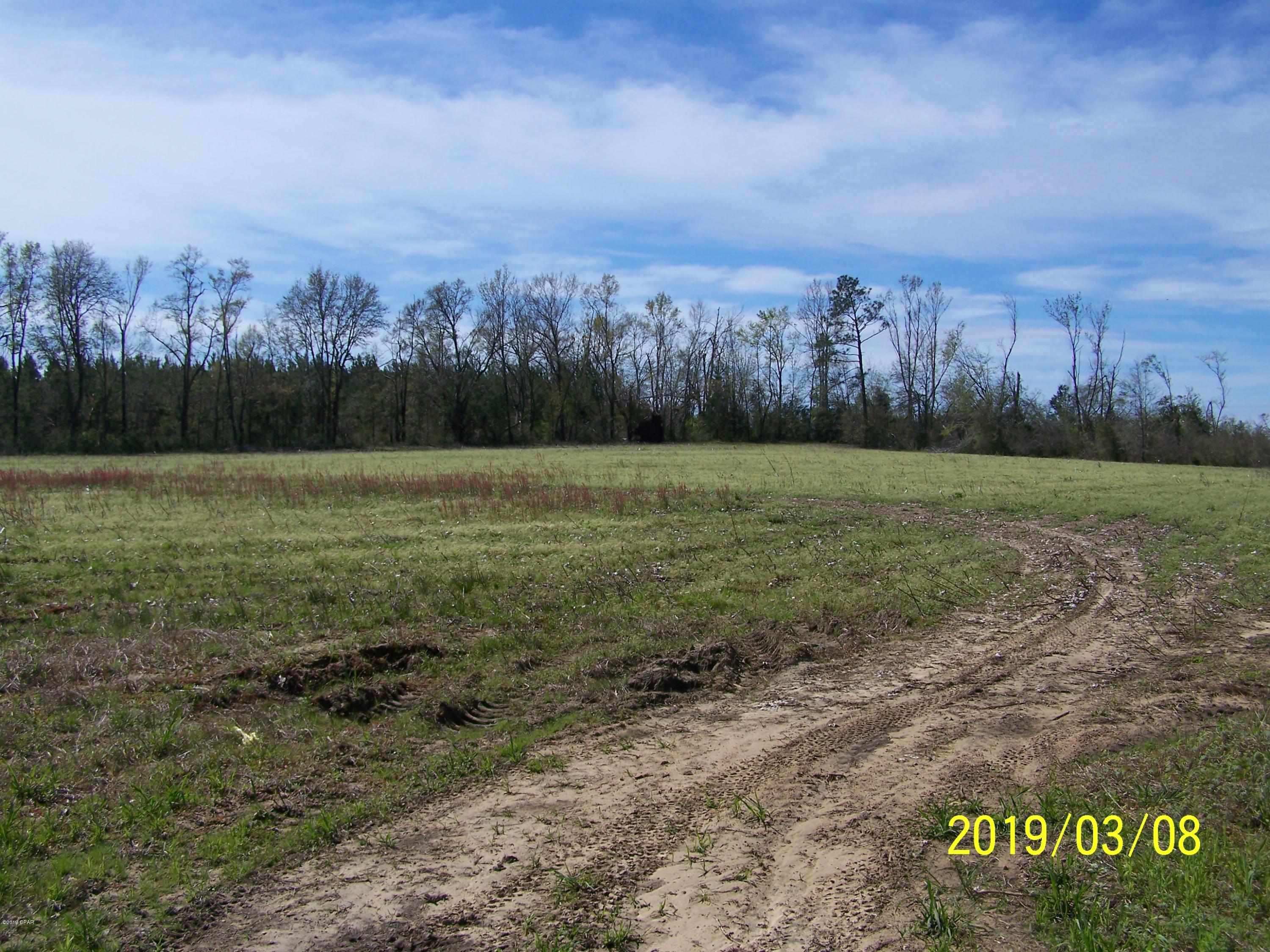 UNDER CONTACT, BUT TAKING BACKUP OFFERS. This a beautiful 25 acres of farm and timberland, with intermittant streams and cypress ponds to add to the natural beauty and provide water for livestock.   While peaceful and quite, the land is only a half mile from US 231, 45 miles to the beautiful Emerald Coast Beaches, and only 35 miles to Dothan, AL.  Property abounds with wildlife such as deer, turkey, quail and ducks.  Beautiful place to build your new home, raise animals and kids!