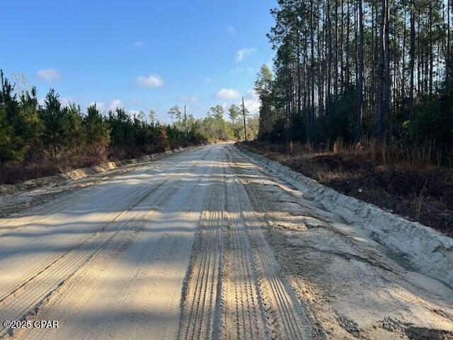 Chipola Landing - Land