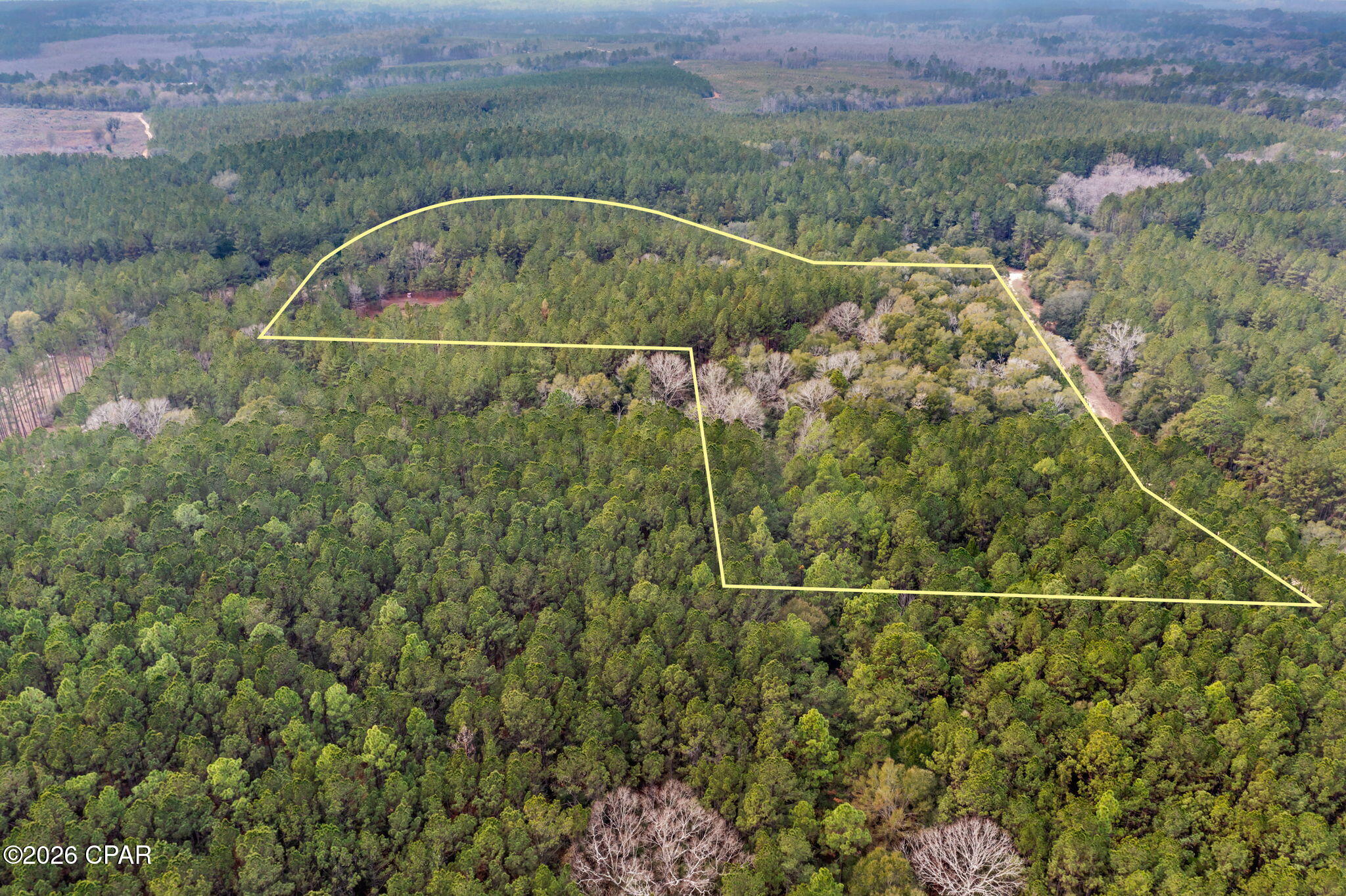 Reedy Creek - Land