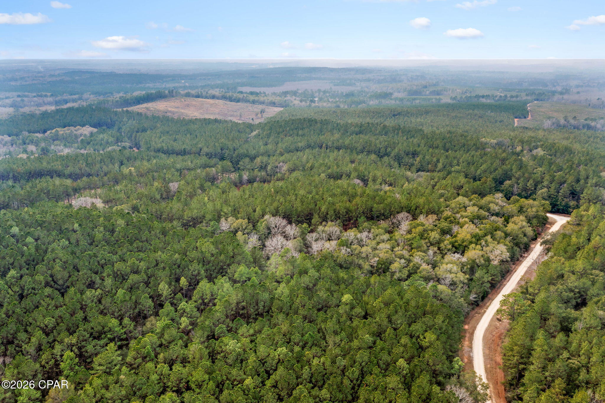 Reedy Creek - Land