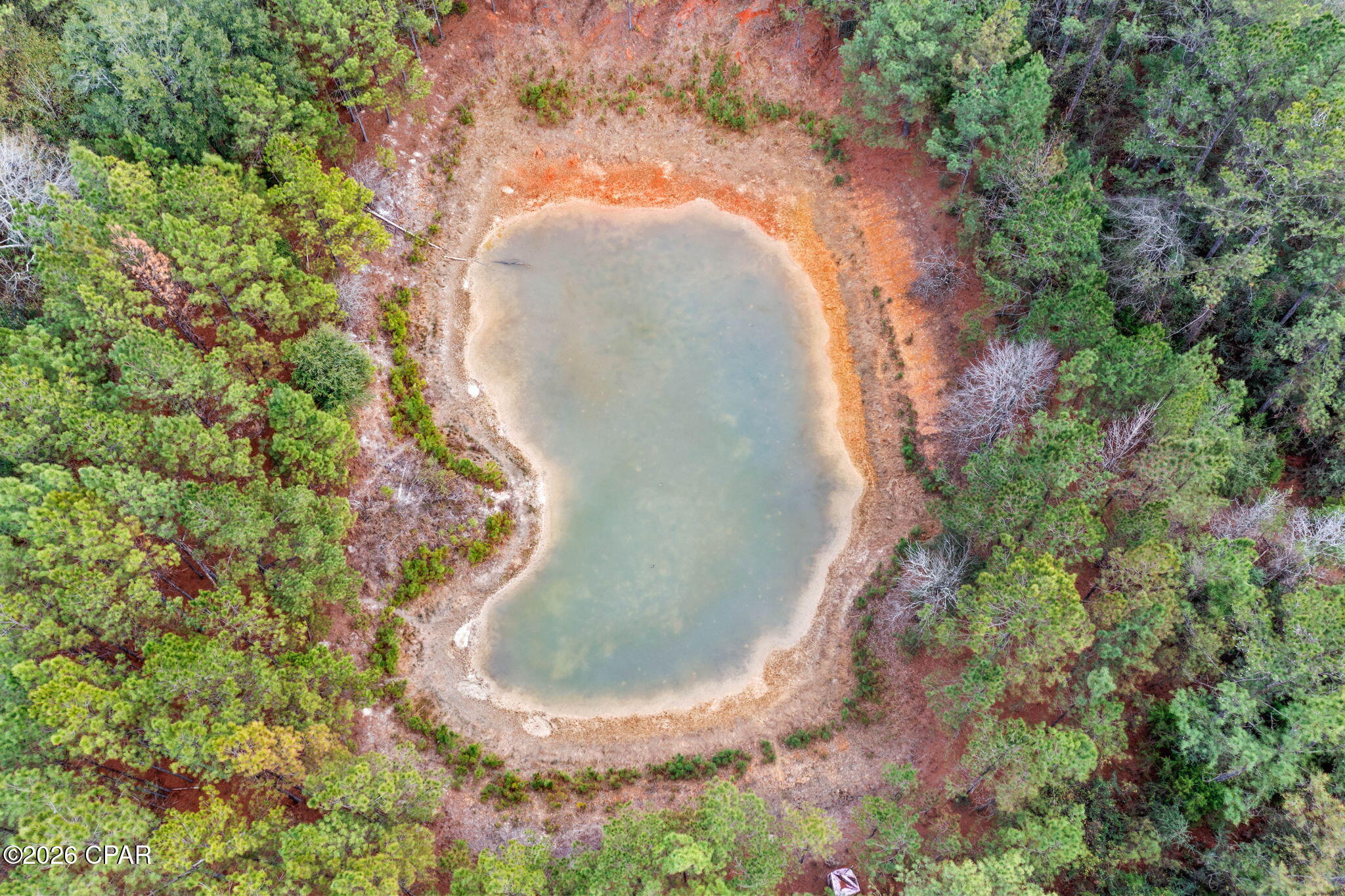 Reedy Creek - Land