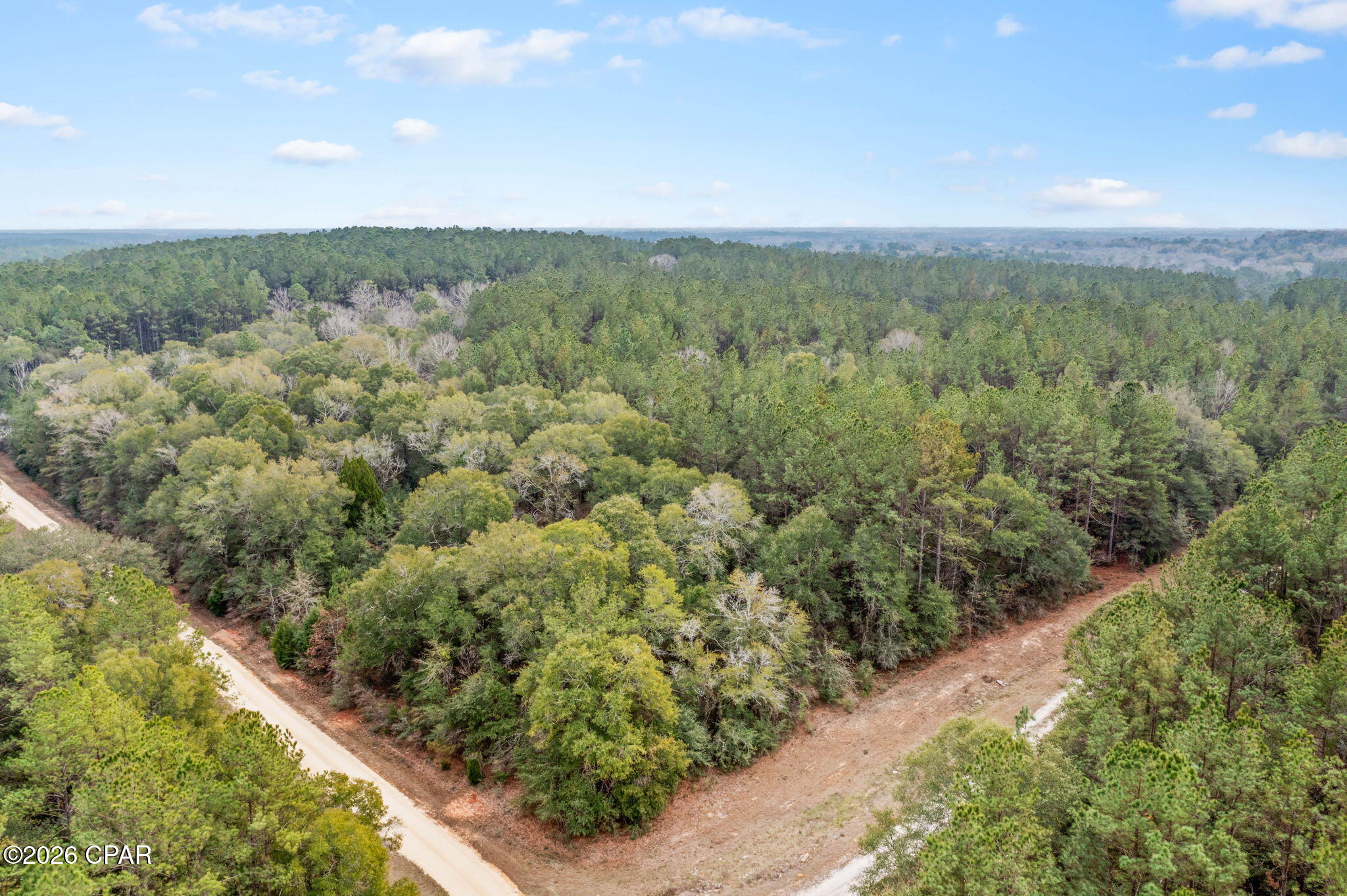 Reedy Creek - Land