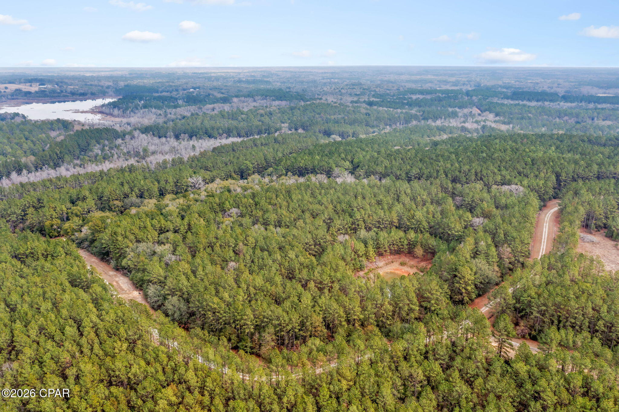Reedy Creek - Land