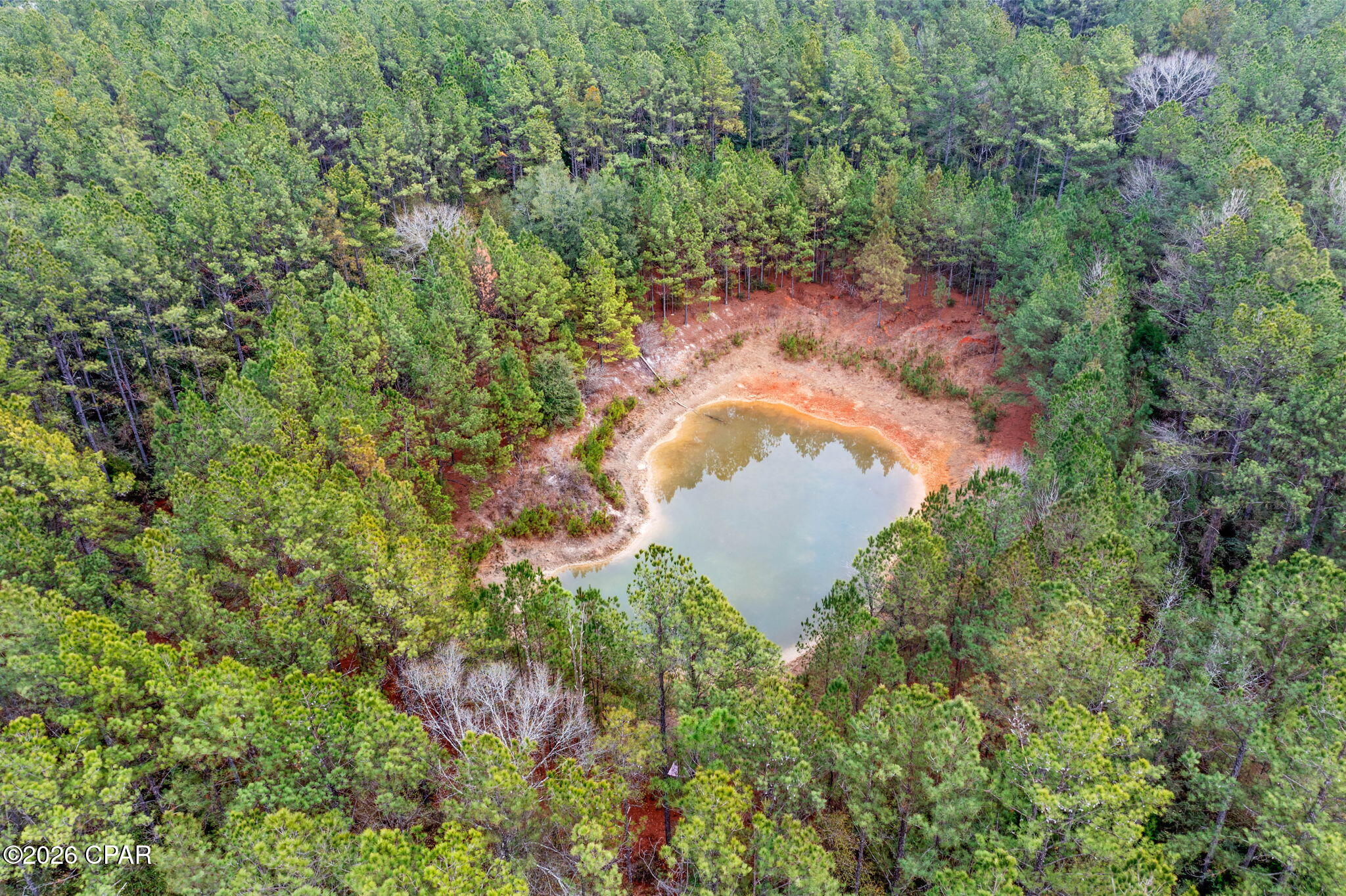 Reedy Creek - Land