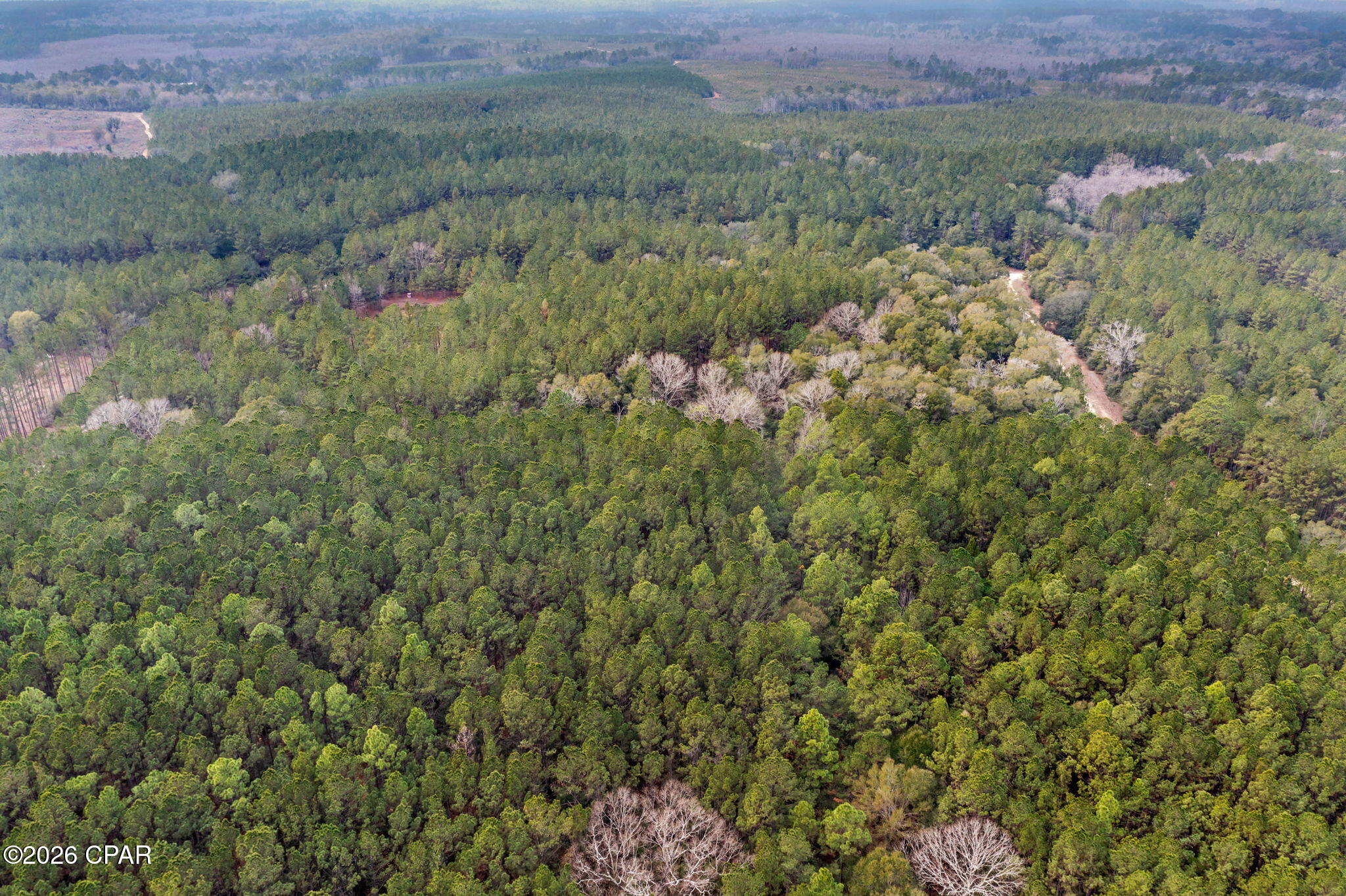 Reedy Creek - Land