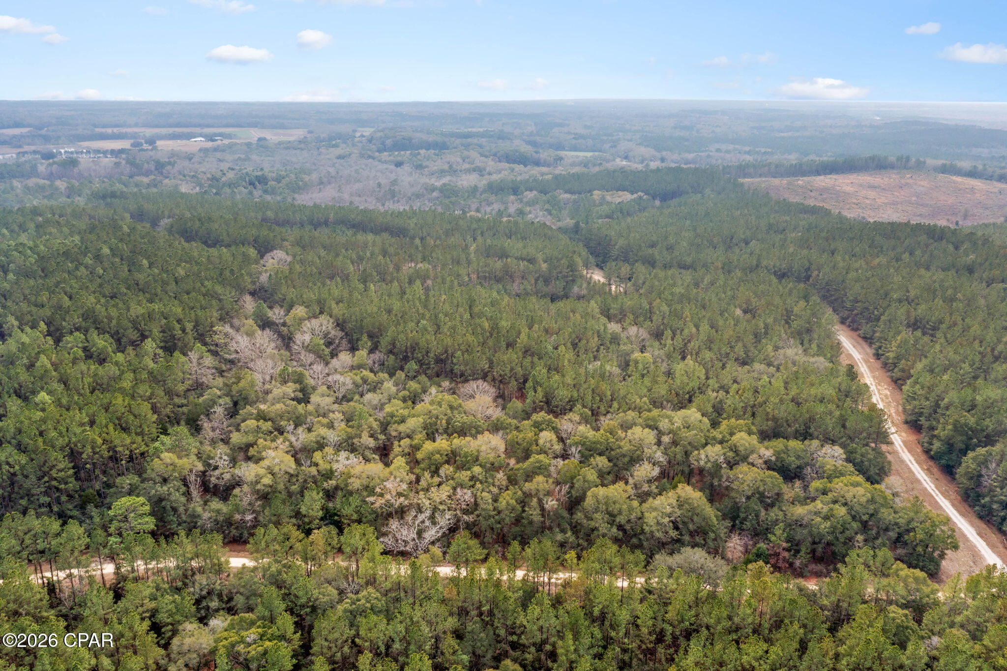 Reedy Creek - Land