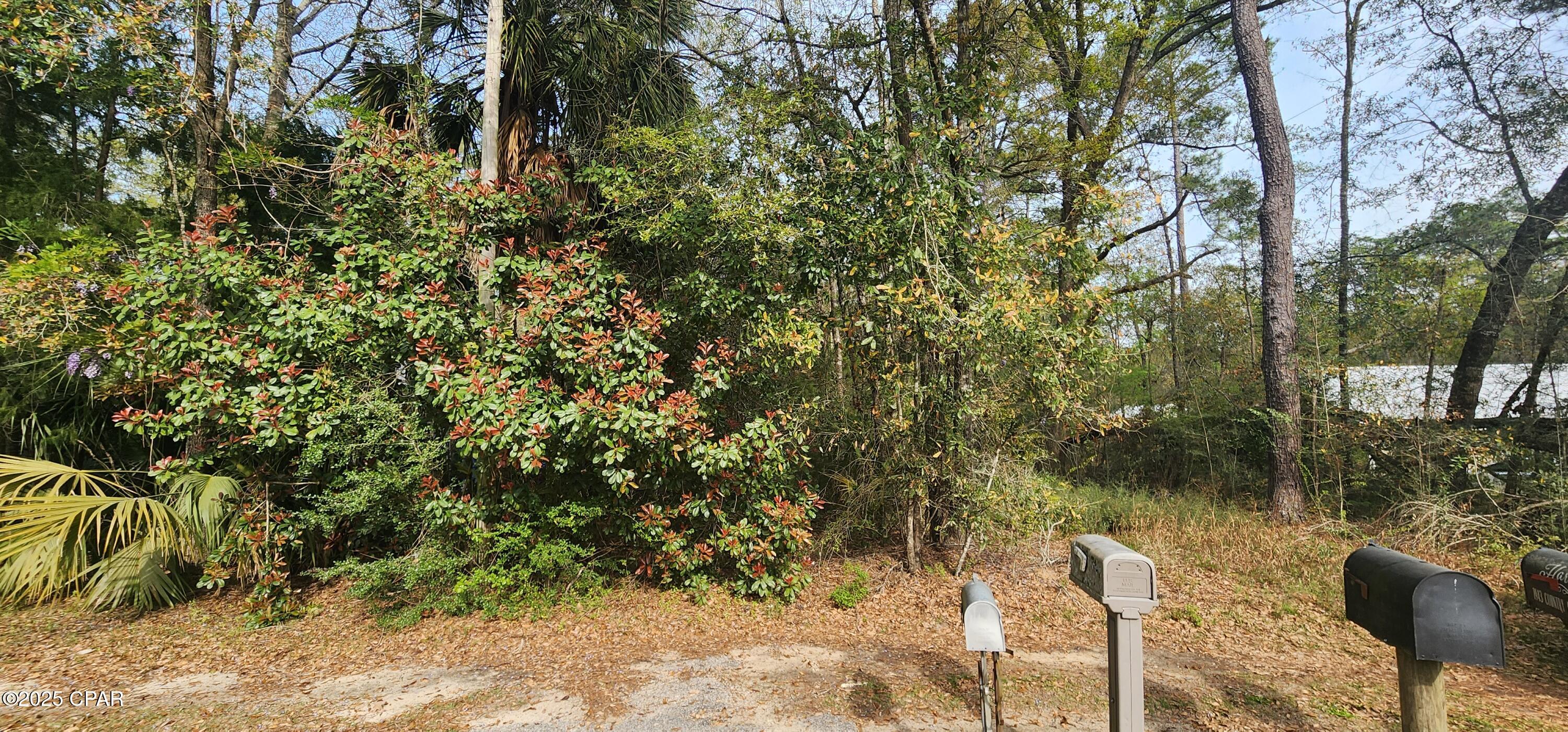 Dogwood Lake Estates - Land