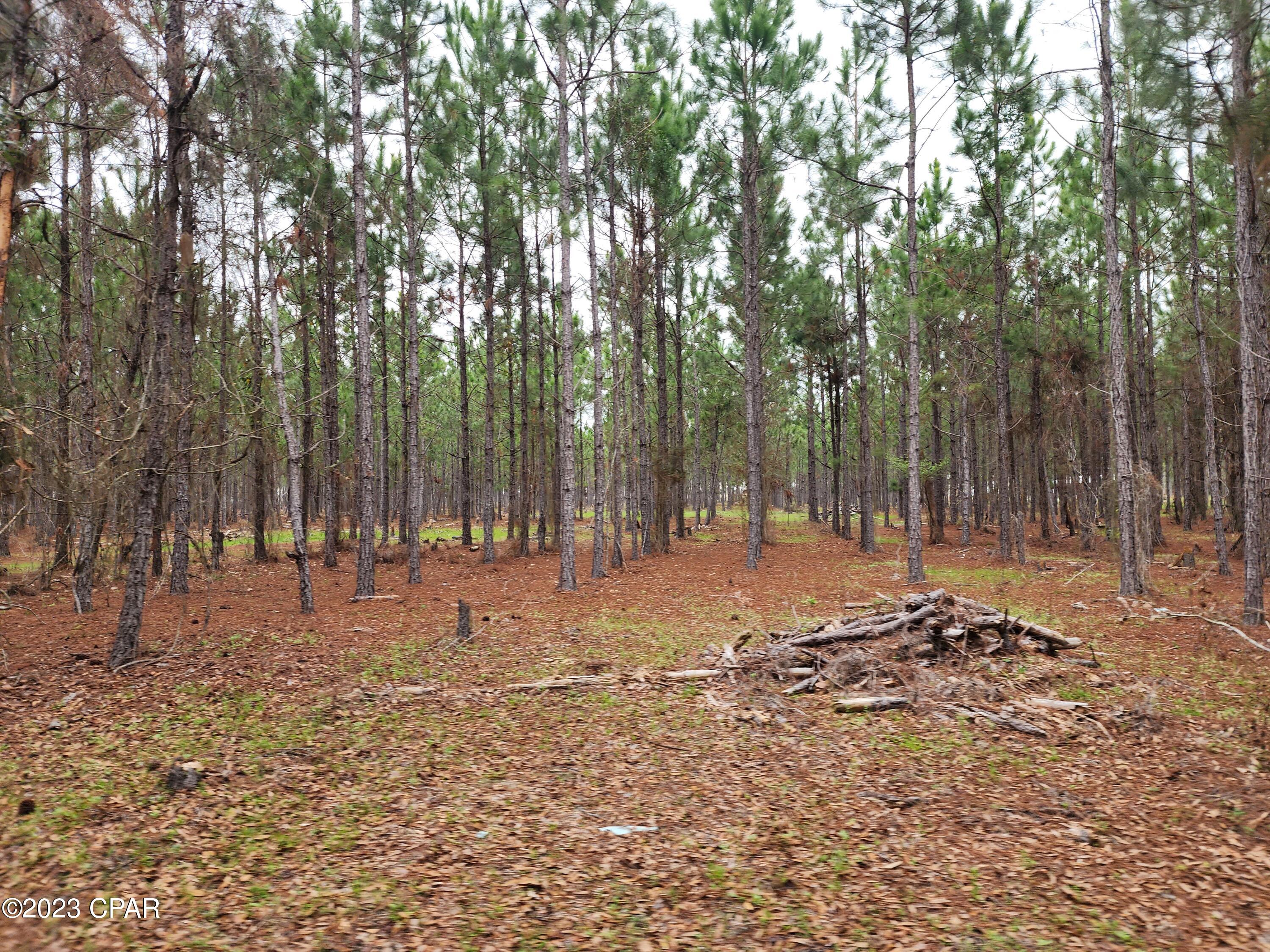 No Named Subdivision - Land