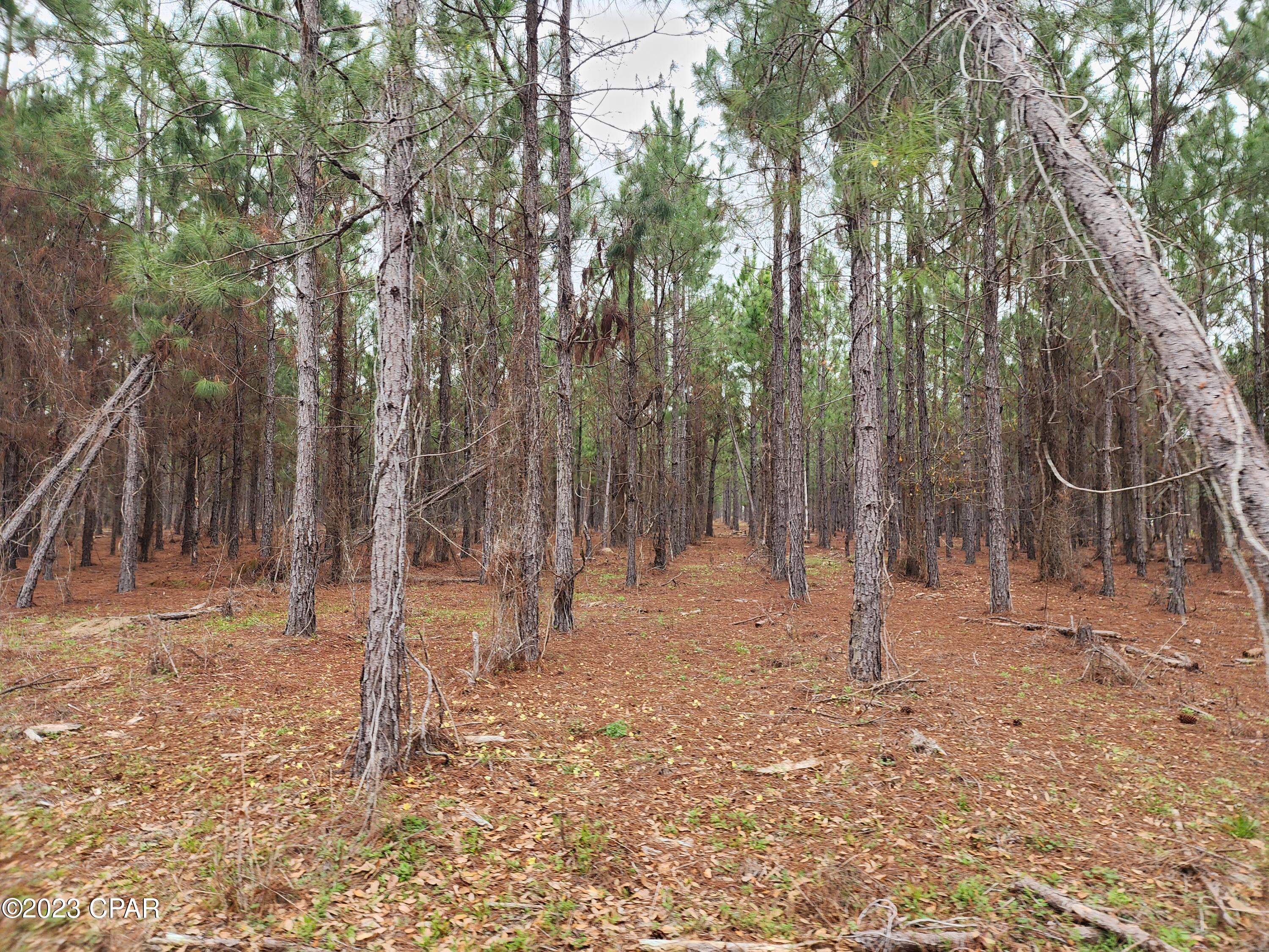 No Named Subdivision - Land