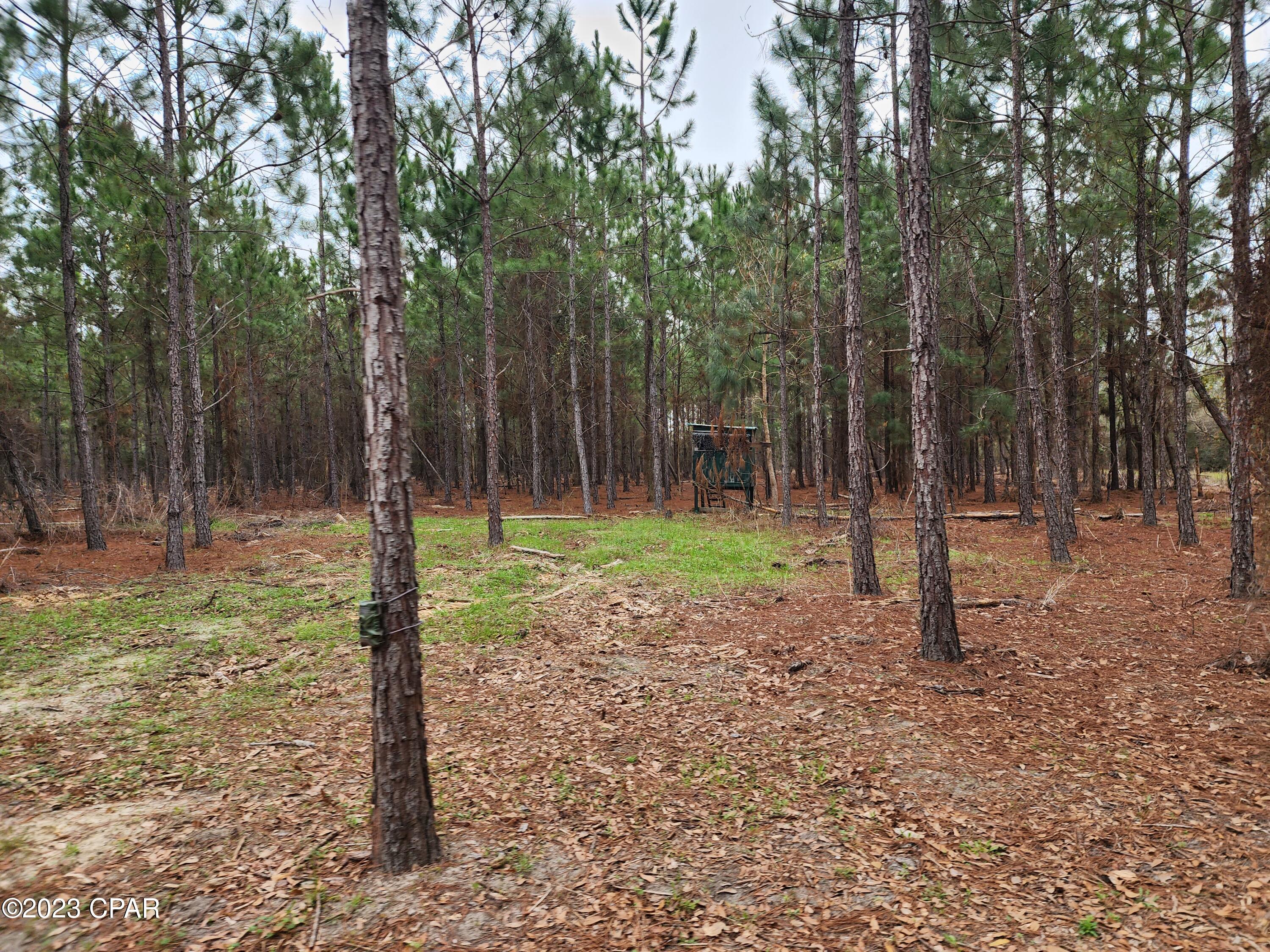 No Named Subdivision - Land