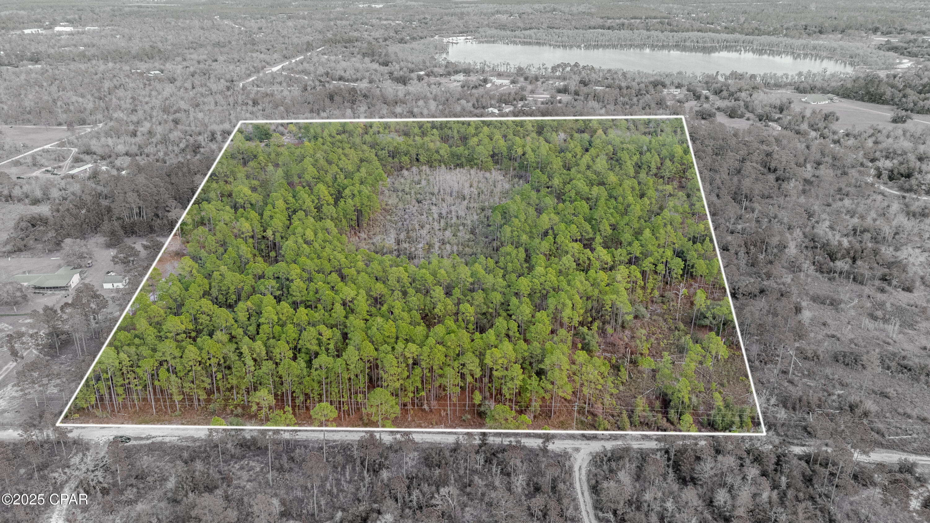 This 20-acre parcel in Altha offers a large, undeveloped tract zoned for timber use. The property is not cleared, providing a natural landscape that may suit buyers looking for land in its existing wooded condition. With no improvements currently in place, the site presents a blank slate for future planning consistent with zoning.



Access to the property is via a dirt road, which may impact accessibility depending on weather and vehicle type. There is no survey on file, so buyers should plan for additional due diligence to confirm boundaries, acreage, and access specifics.



The land does not currently have utilities or site development, and no clearing or site work has been completed. Buyers considering timber use, recreational purposes, or long-term land holding may find value in the size and zoning designation.



Located in Calhoun County near Altha, this parcel offers a rural setting with distance from dense development. Buyers are encouraged to verify zoning details, land use options, and access conditions with local authorities and conduct any inspections or surveys needed for their intended use.