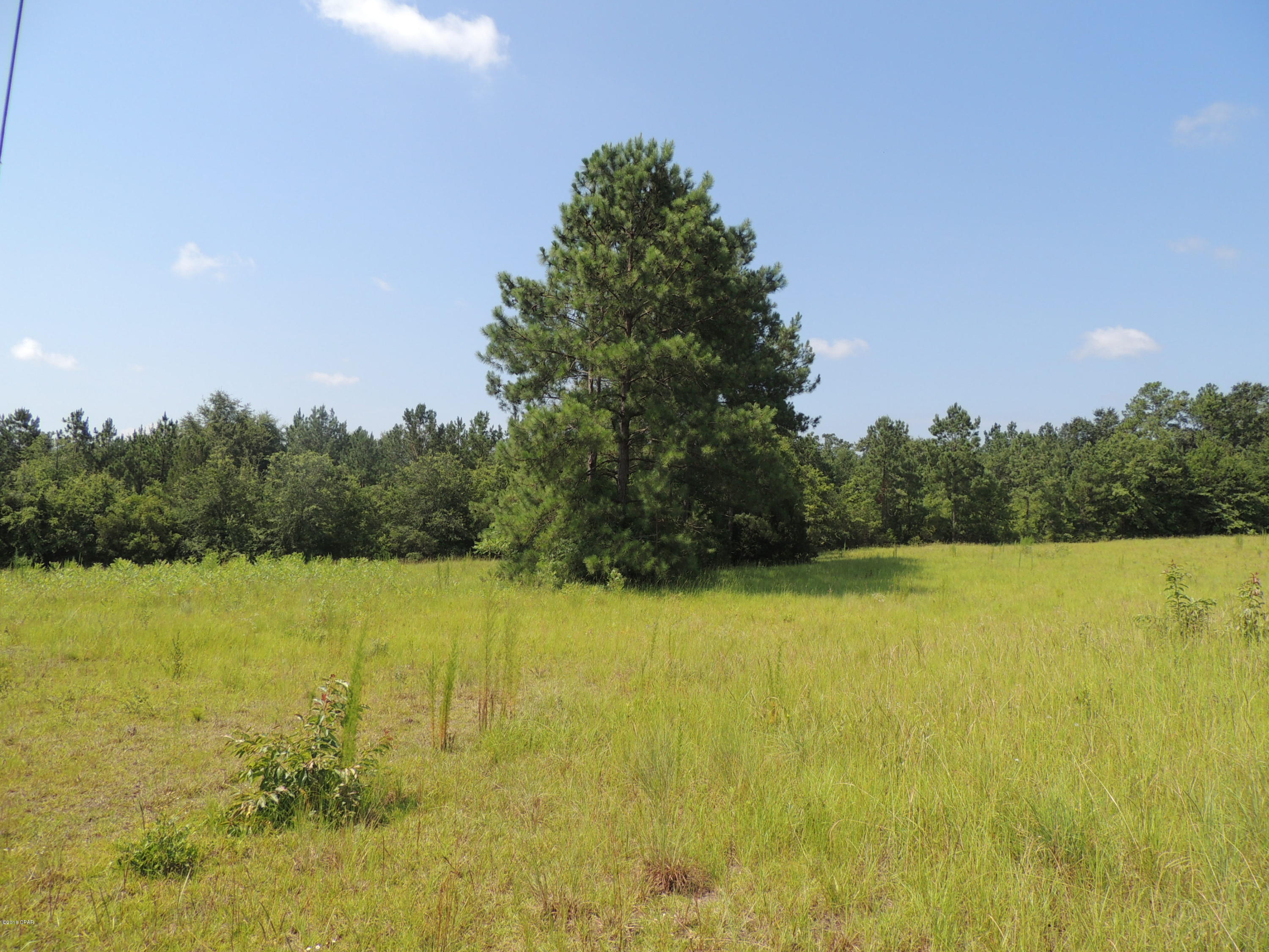 Graceville - Land