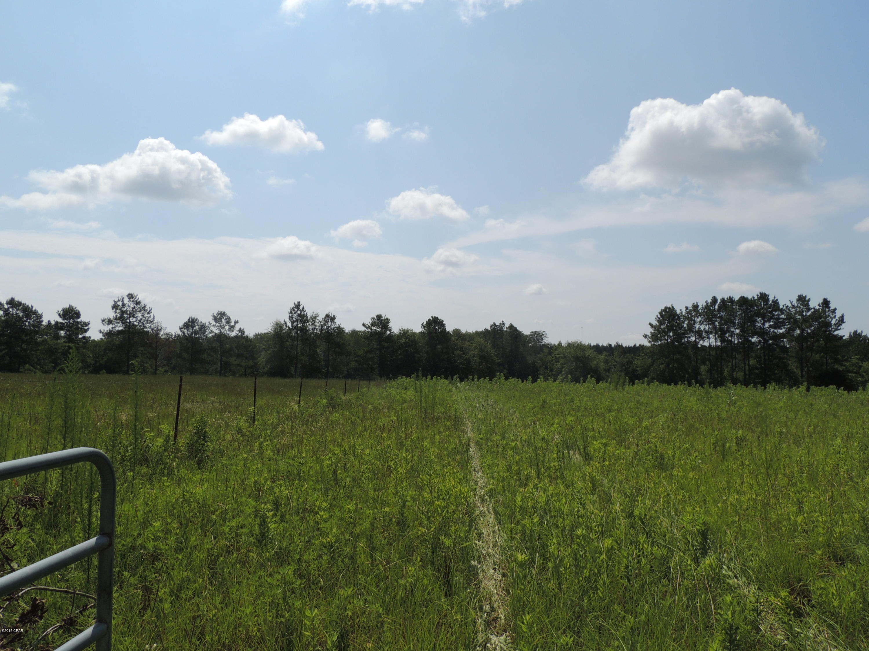 Graceville - Land