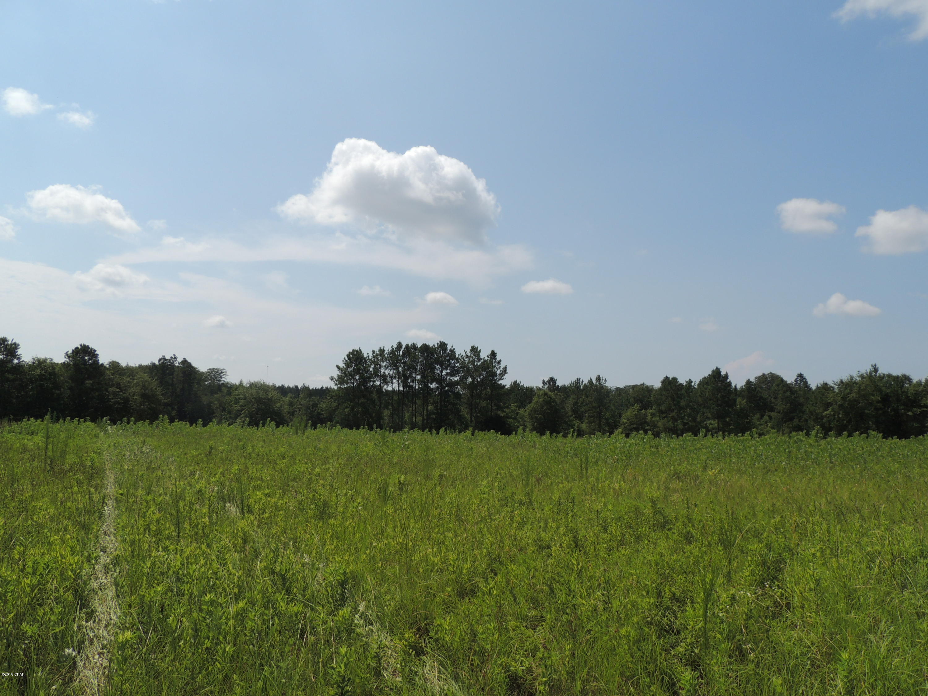 Graceville - Land