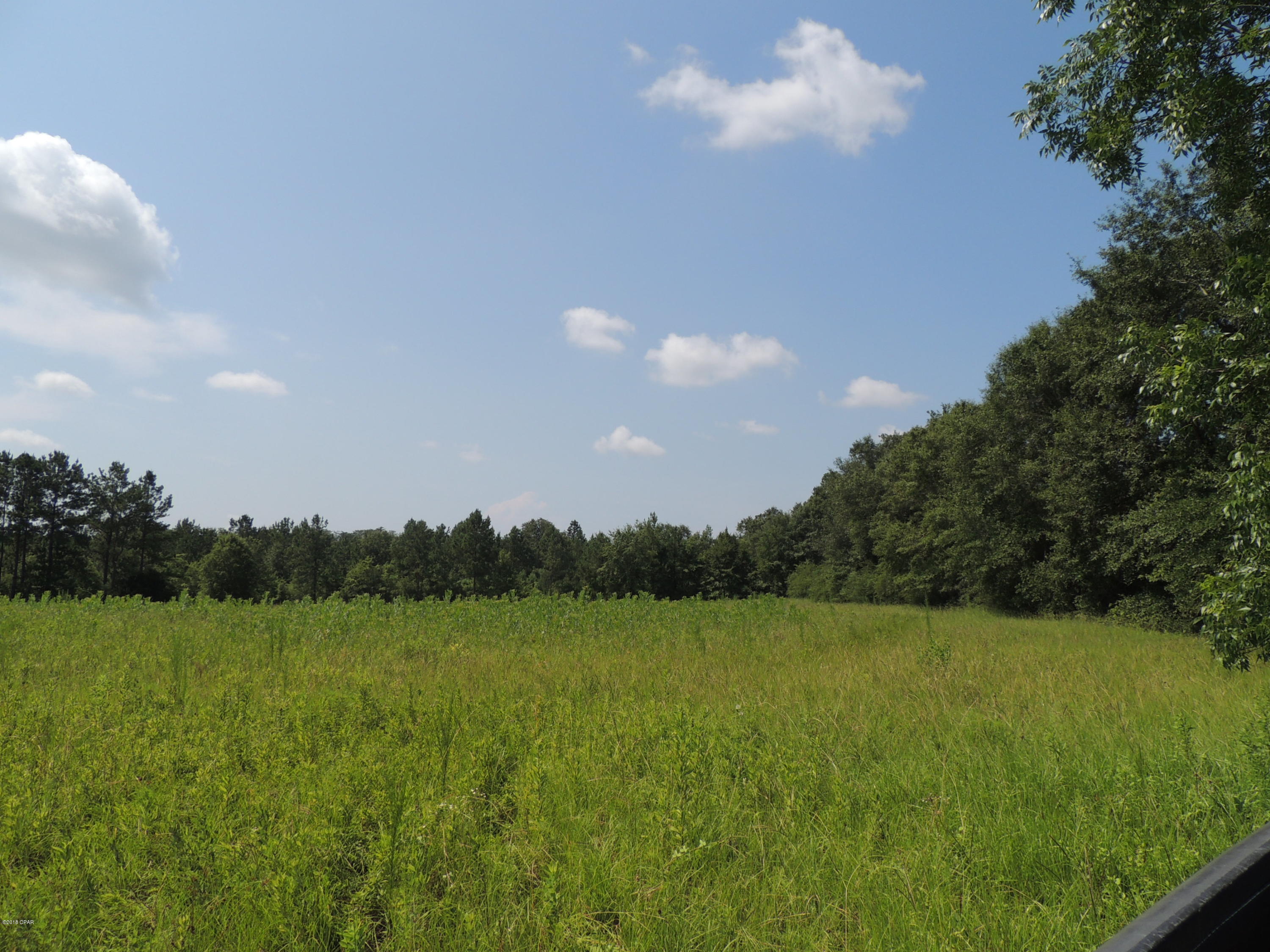 Graceville - Land