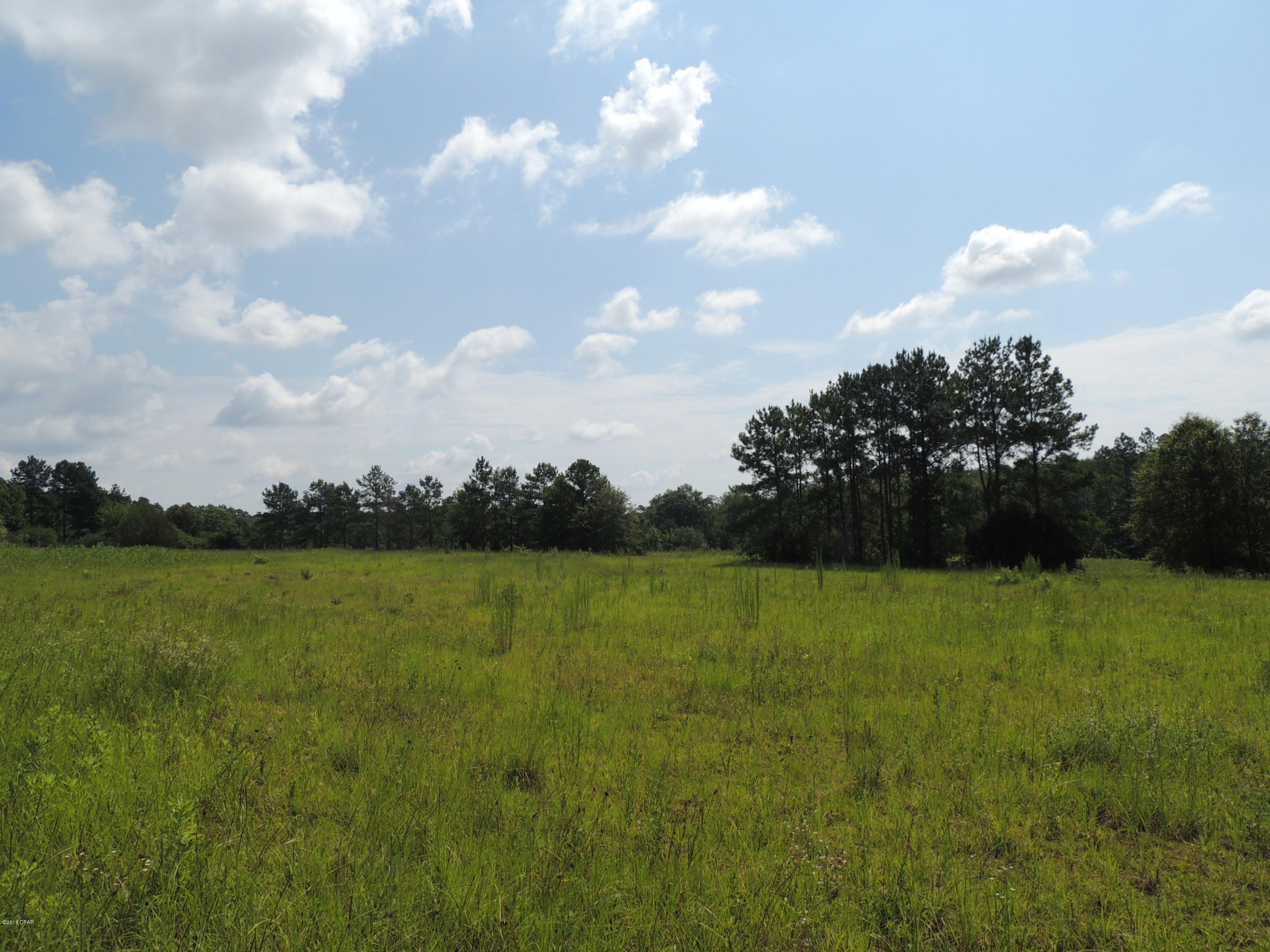 Graceville - Land