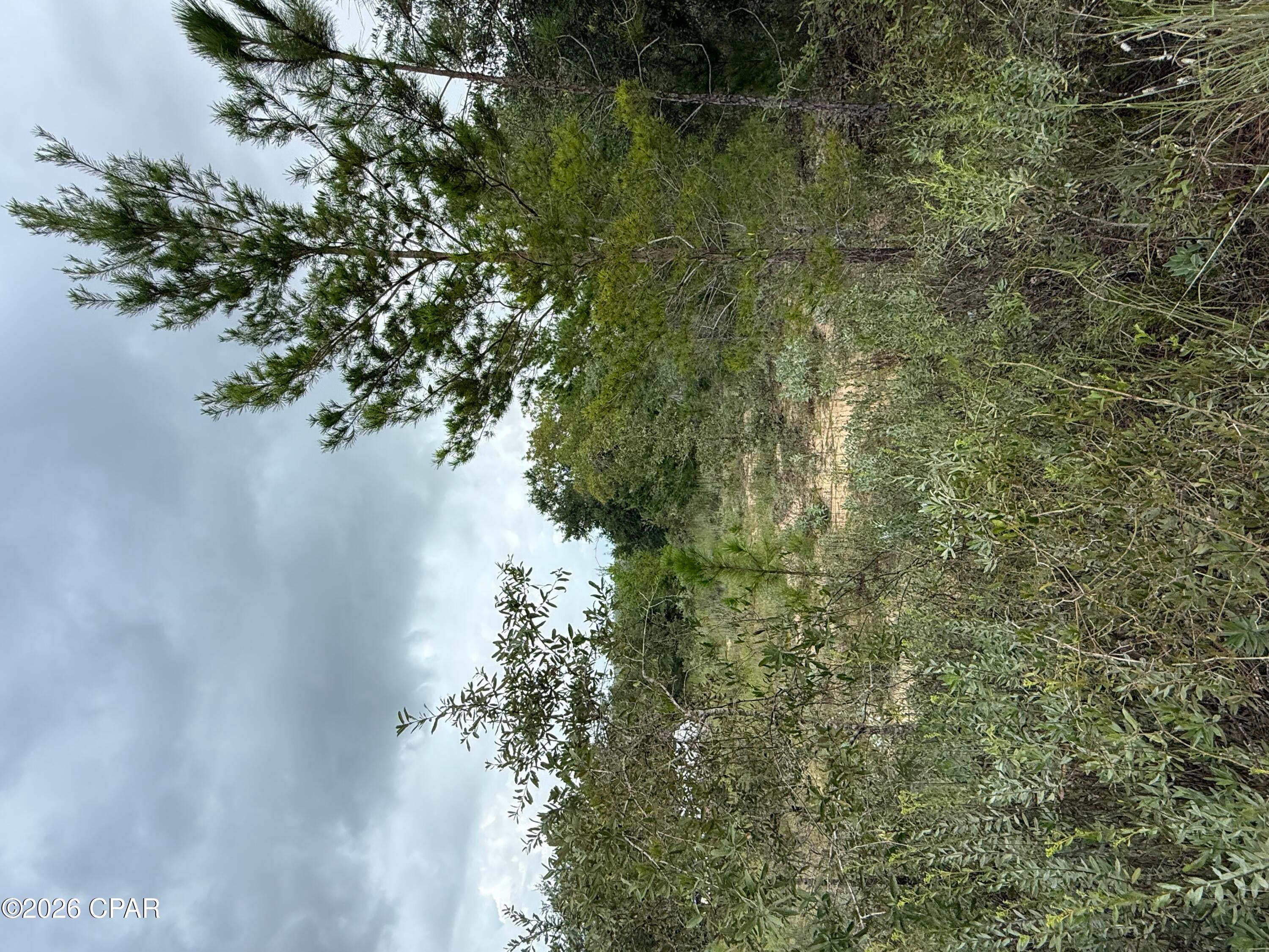 Rolling Pines - Land
