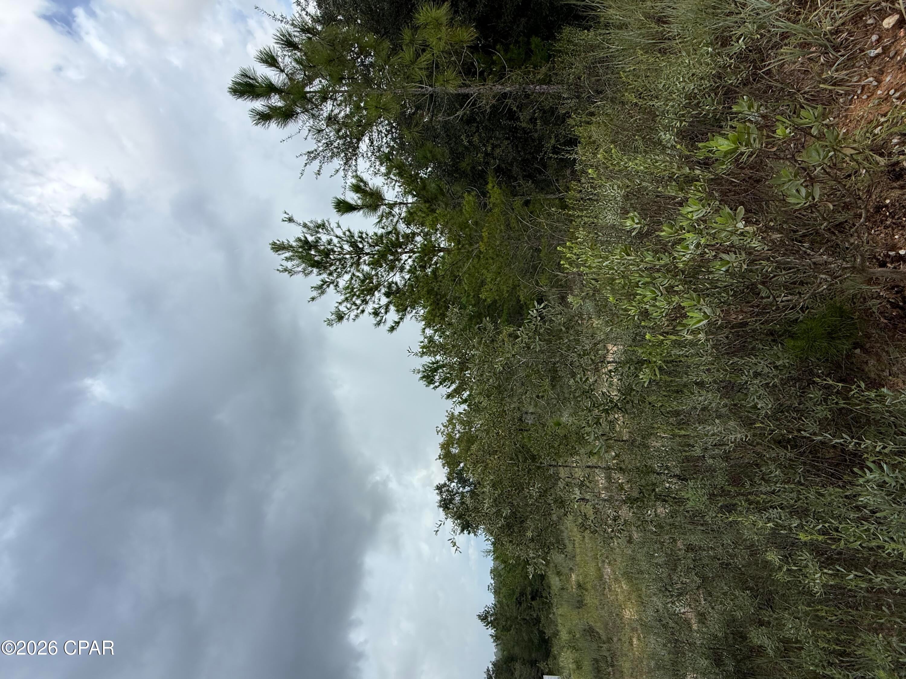 Rolling Pines - Land