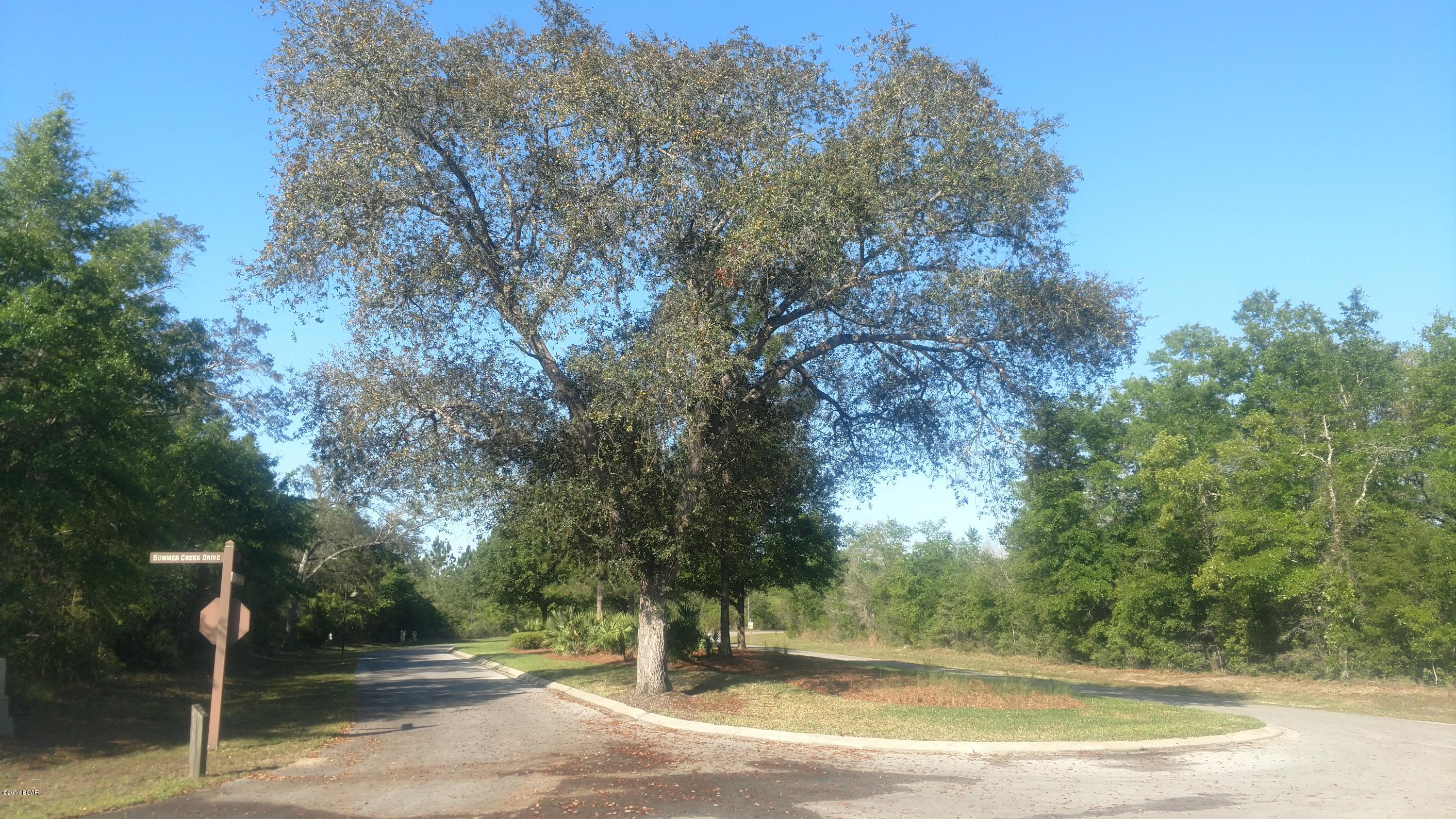 Cedar Creek At Deerpoint Lake - Land