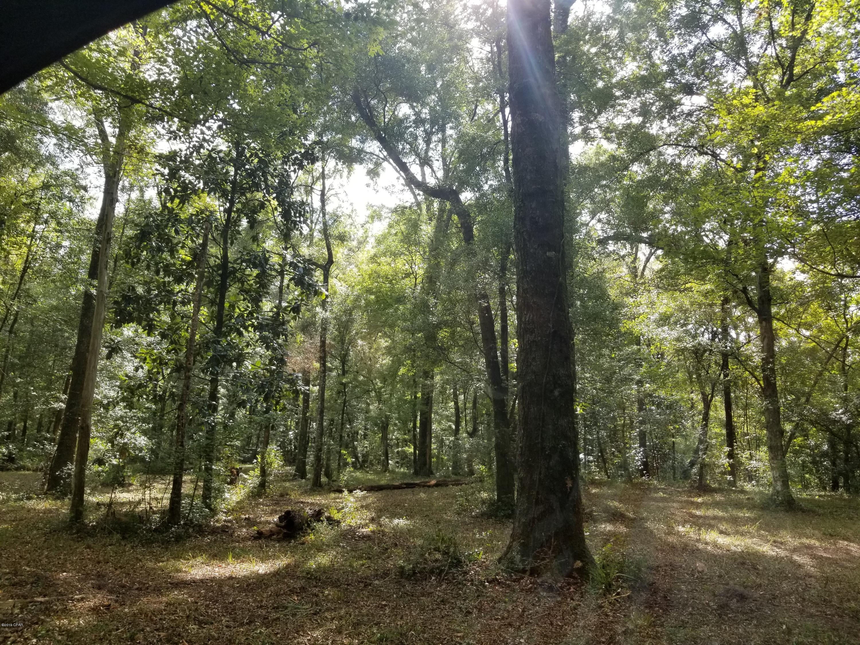 No Named Subdivision - Land
