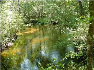 Greatly reduced!  Rarely do you find 800 ft of waterfront and 7 acres  on a pristine crystal clear spring fed creek!   The west side of the property is  adjacent to the NW Florida Water Management District that is protected land lo insure it's pristine spring water.  It is truly a jewel in our crown for Bay County and is a peaceful secluded place  to get away from it all!  The trees are budding out with new leaves and the lot has been partially cleared and down trees piled up to make easier to view it.  A great location to build a  retreat or your forever home with change of Conservation to exception for allowing home. The wetland determination and subsequent re-survey will be needed.  You can come take a look as the gate is open with a  Full Sail Real Estate sign to show you the way.