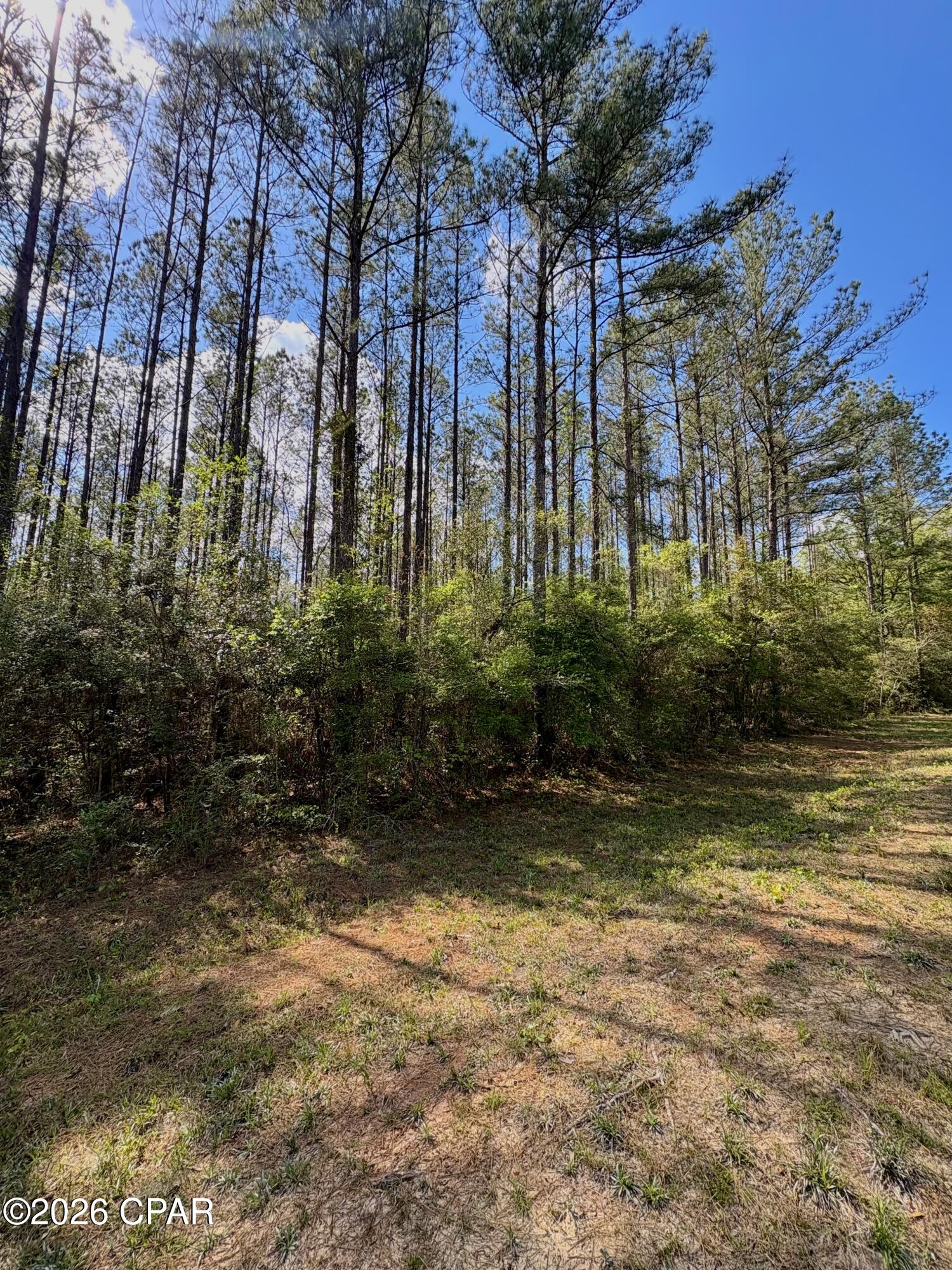 Reedy Creek - Land