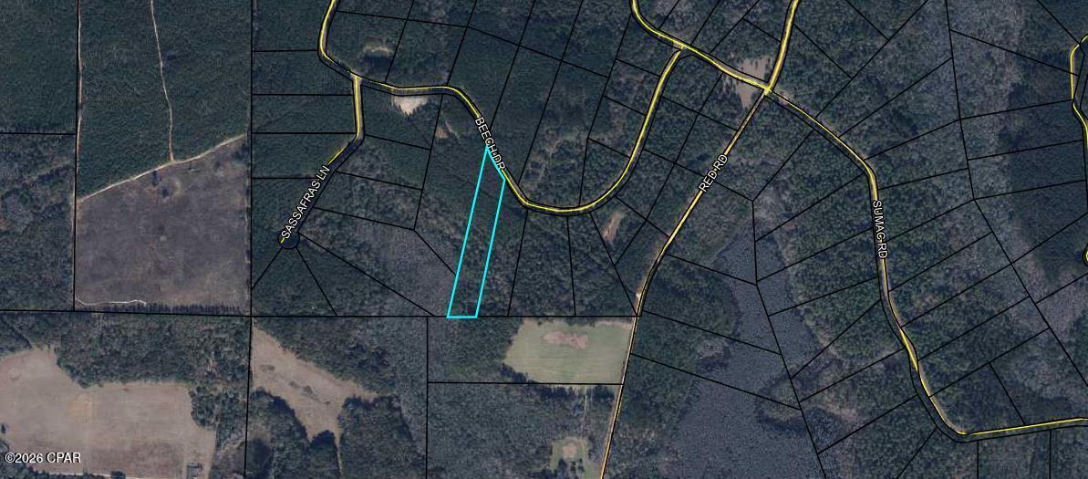 Reedy Creek - Land