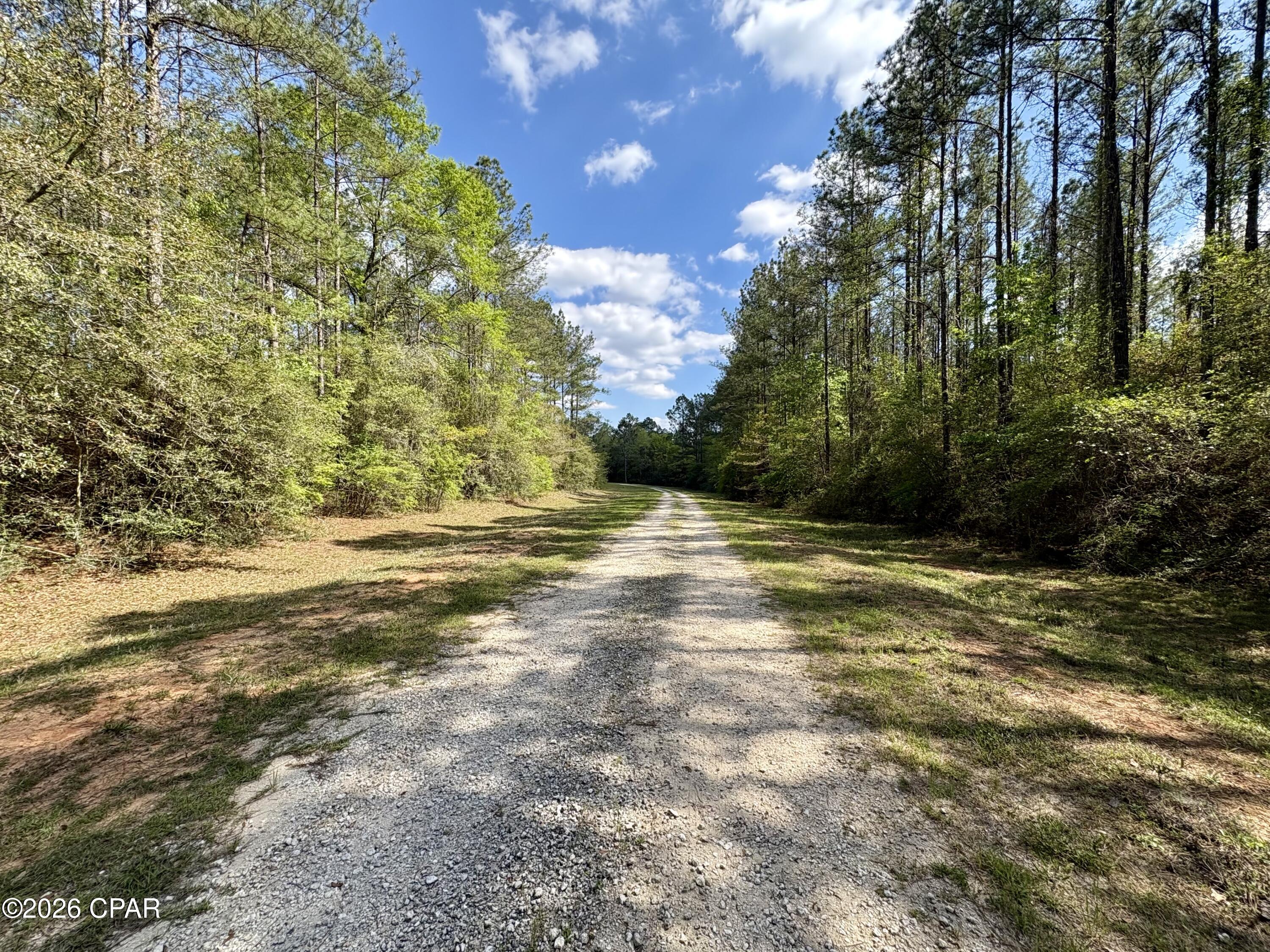 Reedy Creek - Land