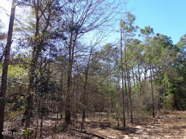Compass Lake In The Hills - Land