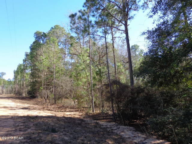 Compass Lake In The Hills - Land