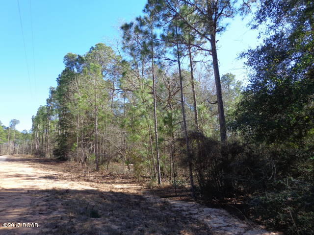 Compass Lake In The Hills - Land