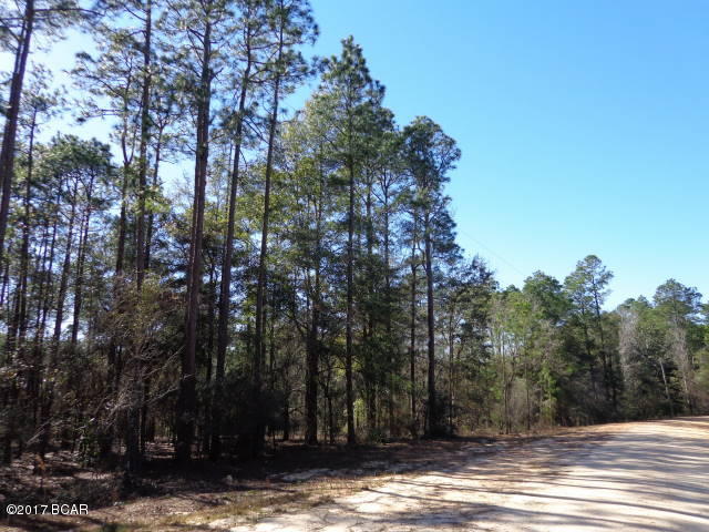 Wooded lots 5&6 in Unit 5.  Close drive to McCormick Lake .  All amenities included for all property owners to enjoy.  Access to 2 lakes, 2 clubhouses, inground swimming pool, tennis, cabin & boat rentals plus more.